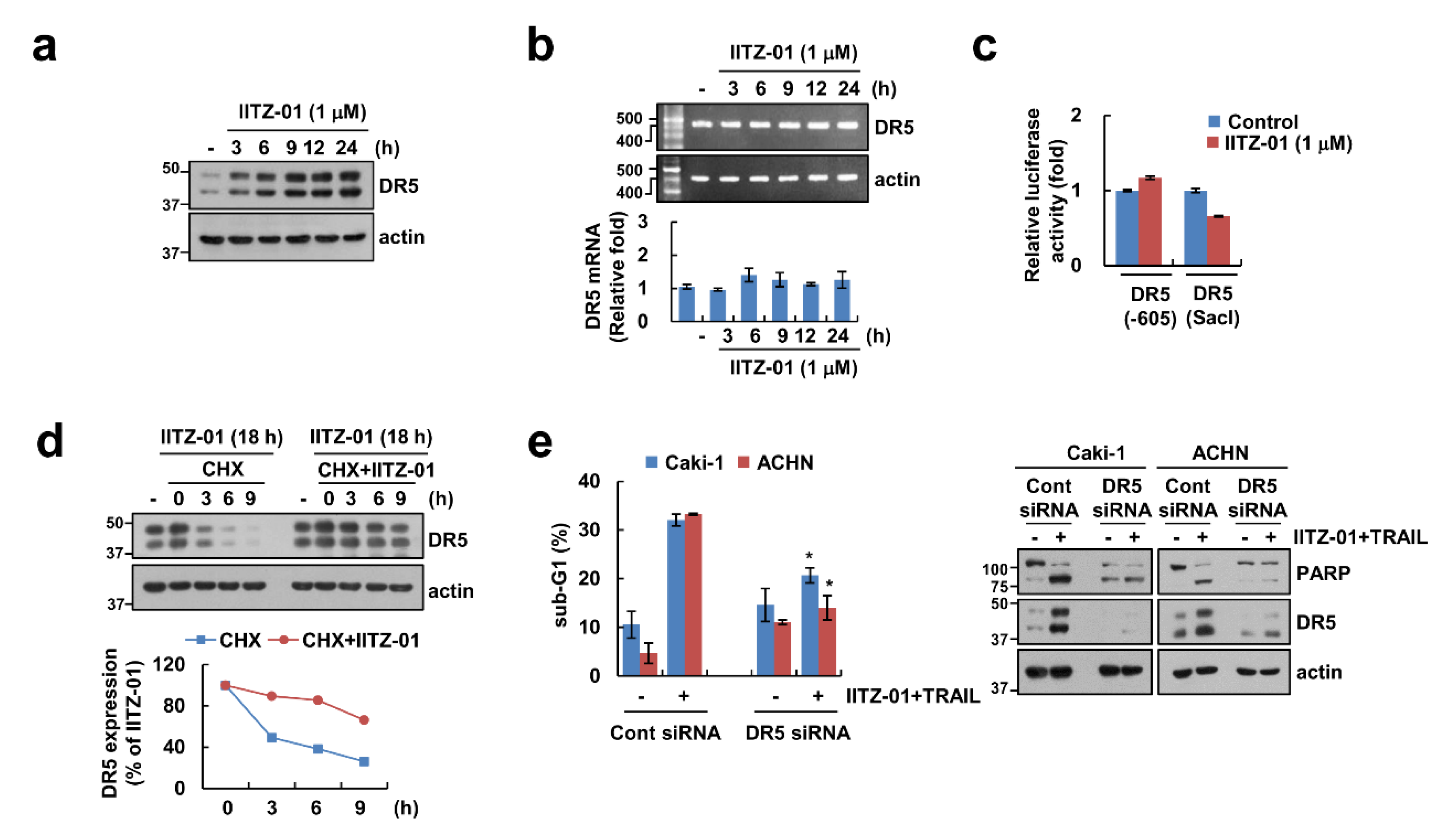 Cancers 12 02363 g003 Cancers 12 02363 g003