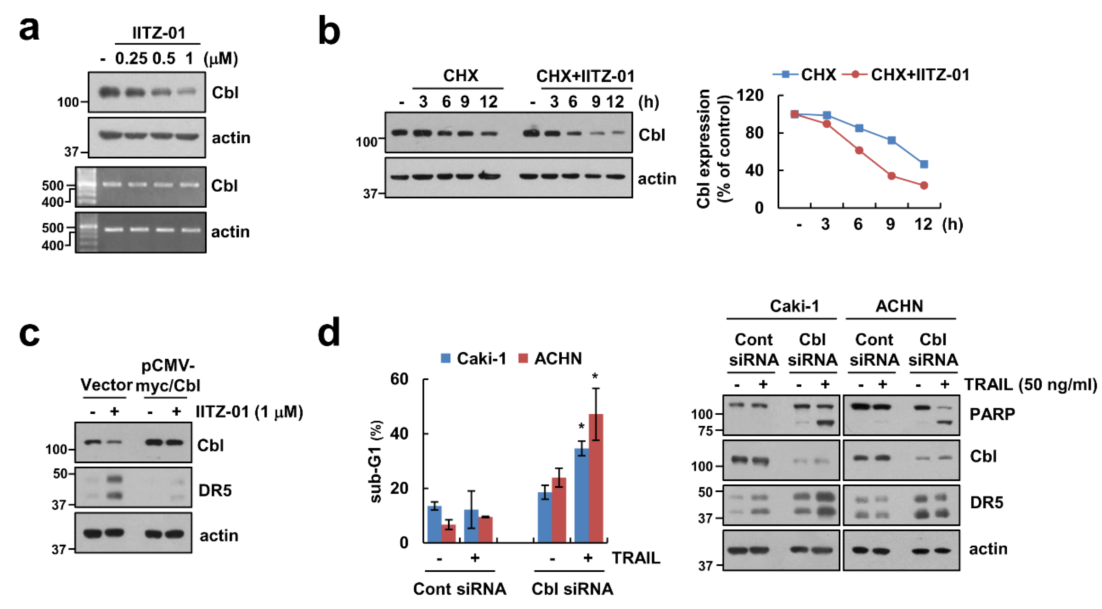 Cancers 12 02363 g004 Cancers 12 02363 g004