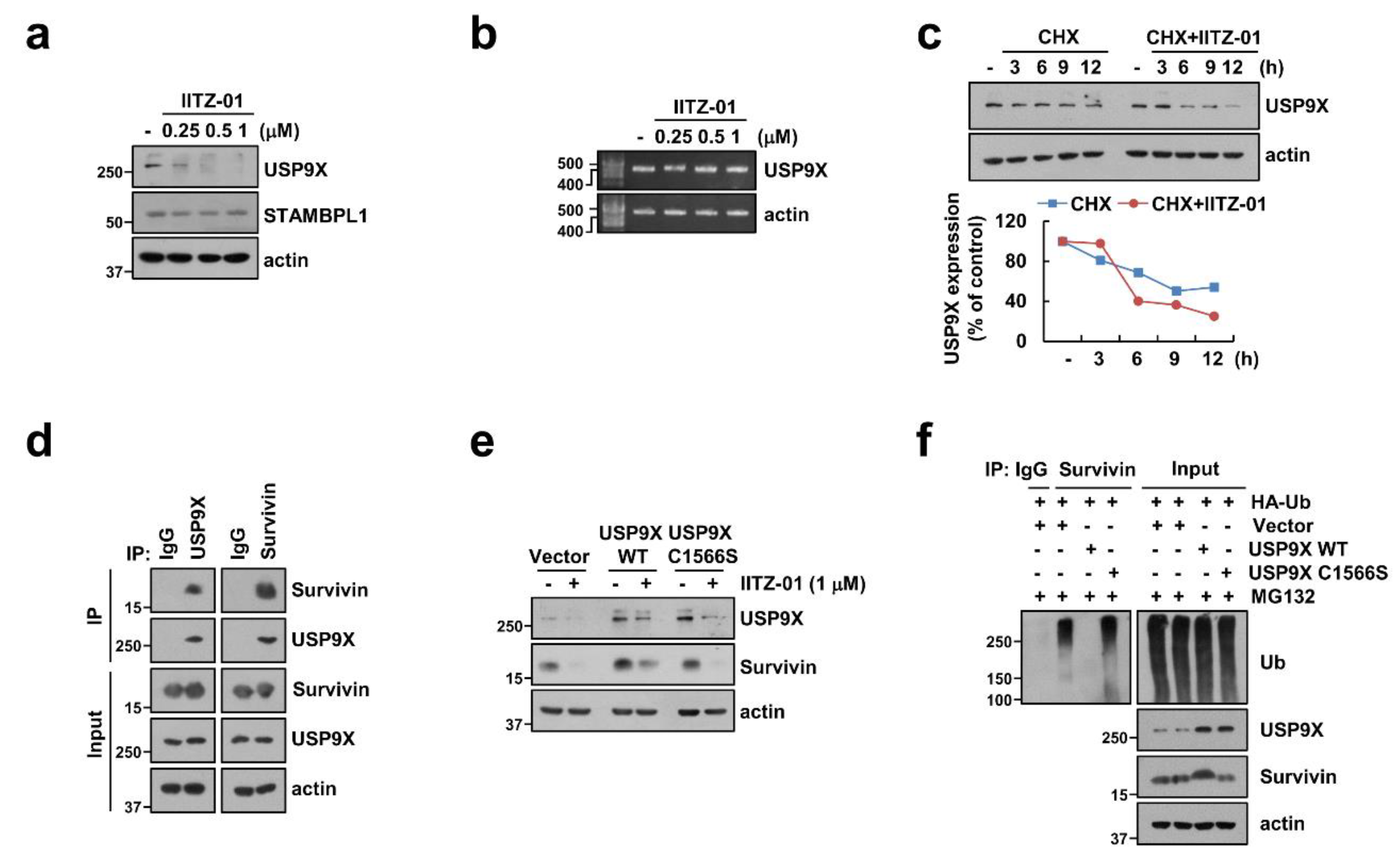 Cancers 12 02363 g006 Cancers 12 02363 g006