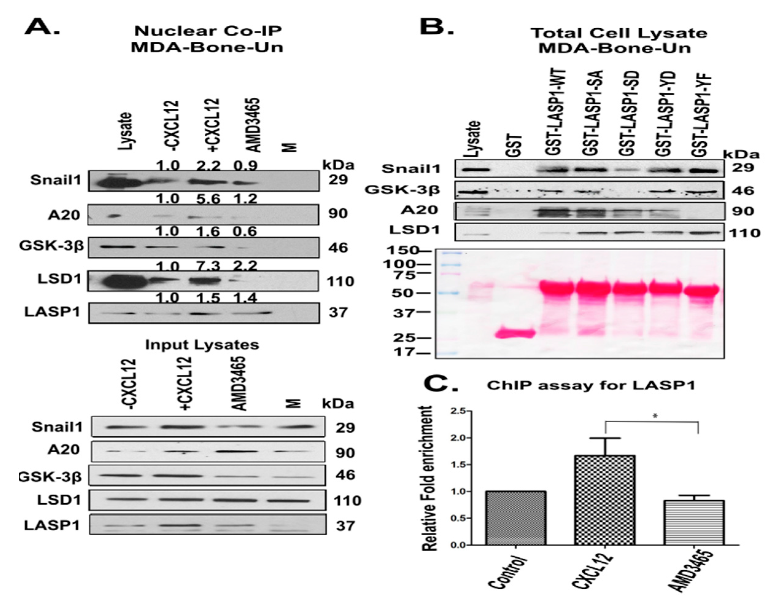 Cancers 12 02372 g004 Cancers 12 02372 g004