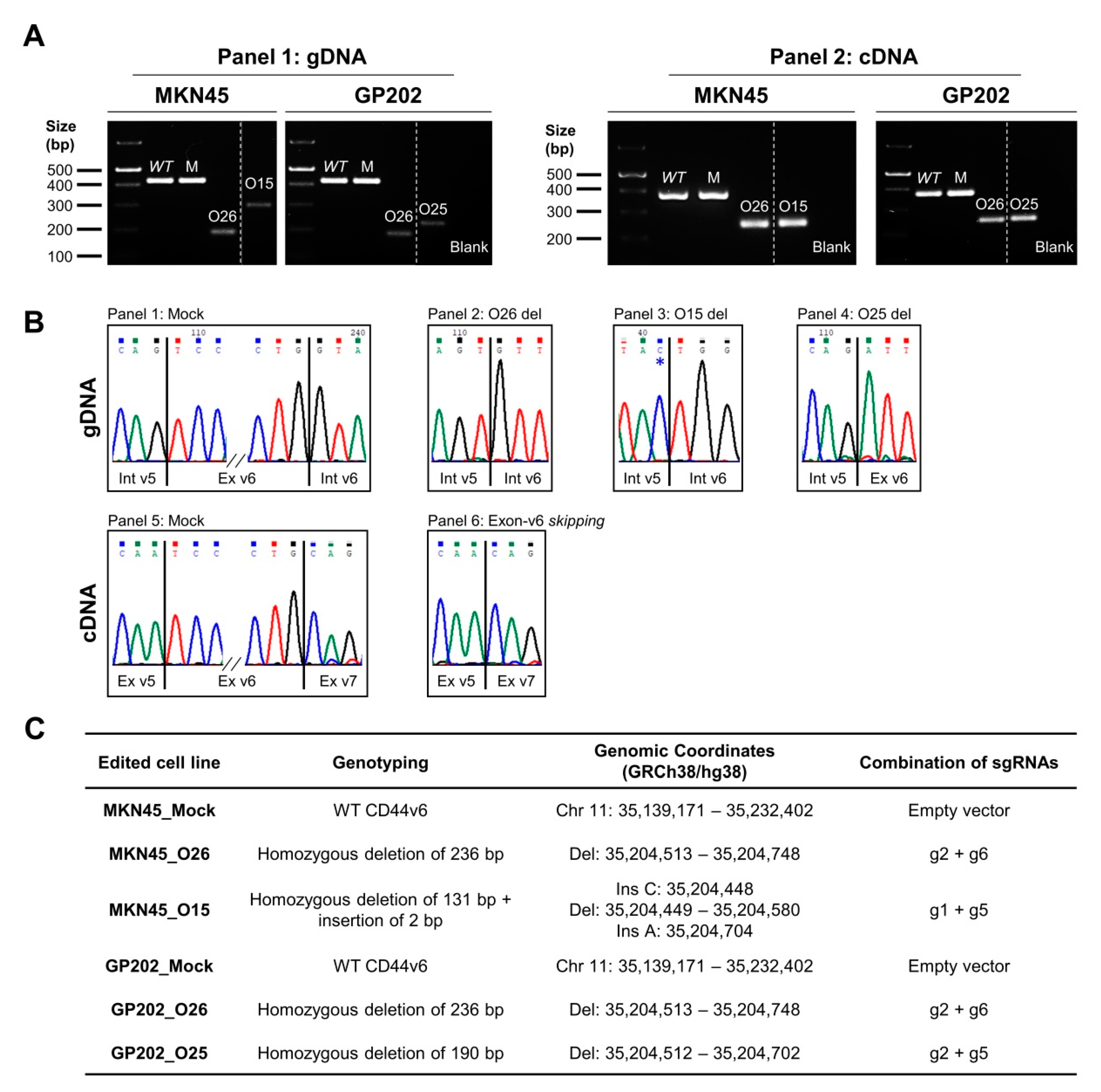 Cancers 12 02378 g002