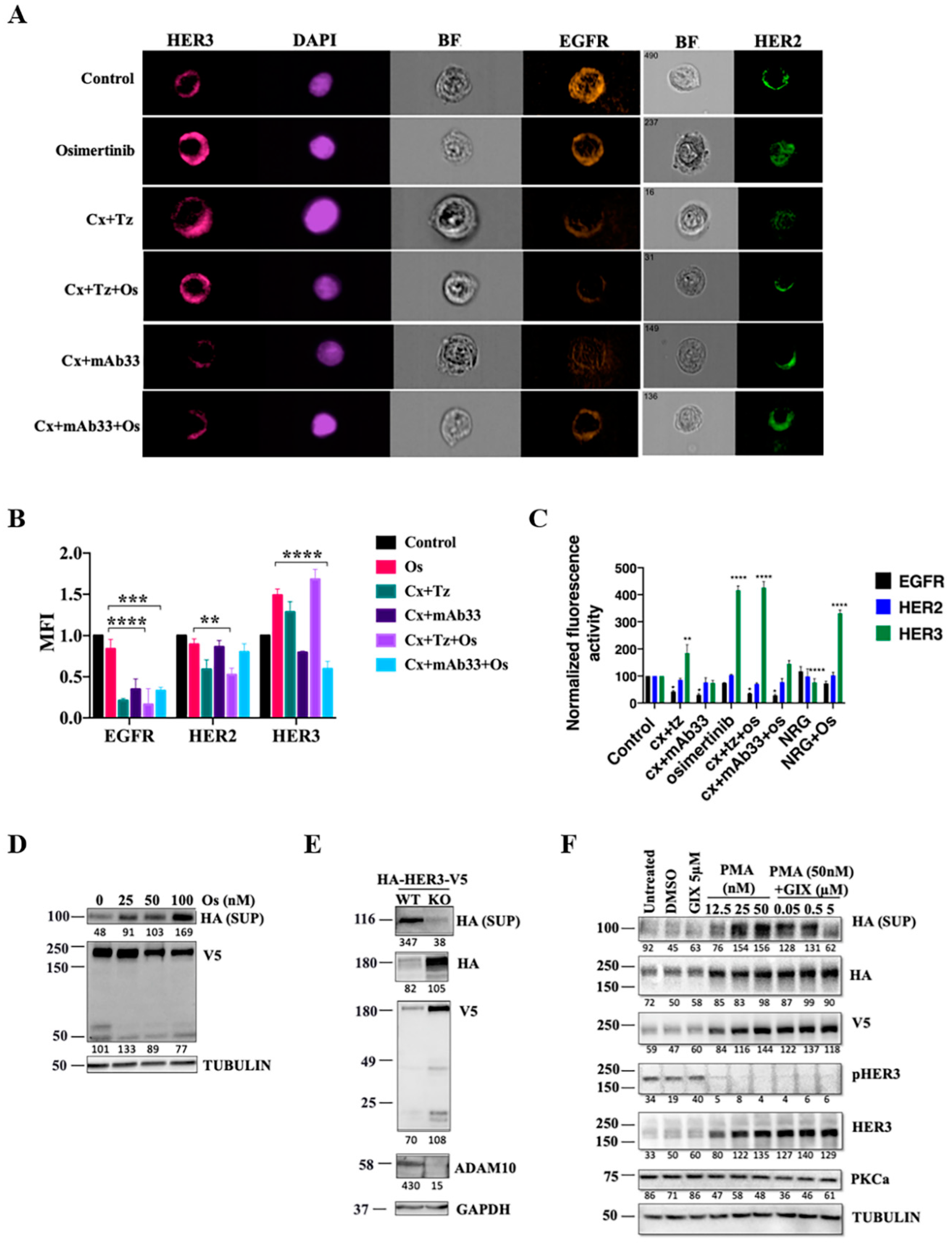 Cancers 12 02394 g002