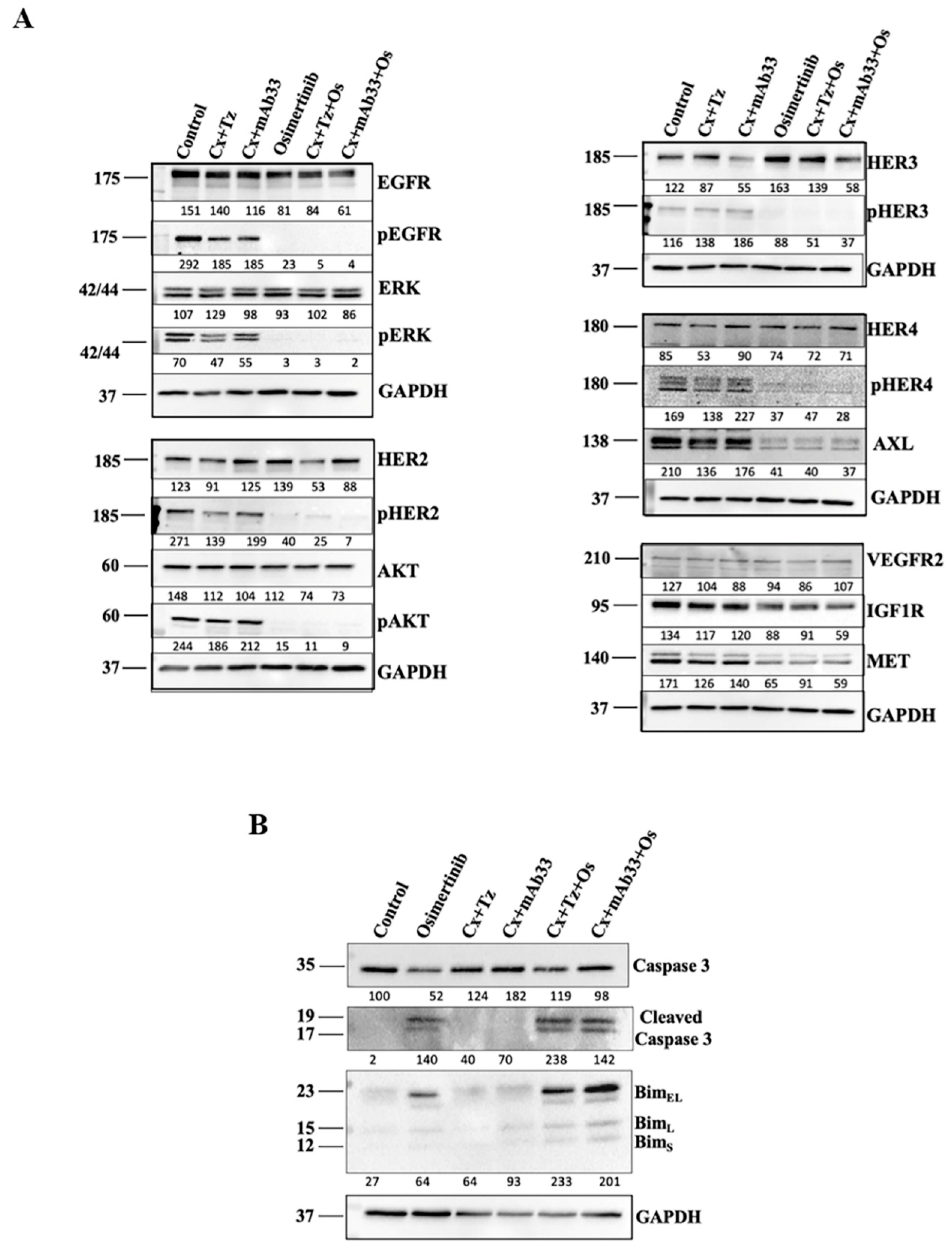 Cancers 12 02394 g003