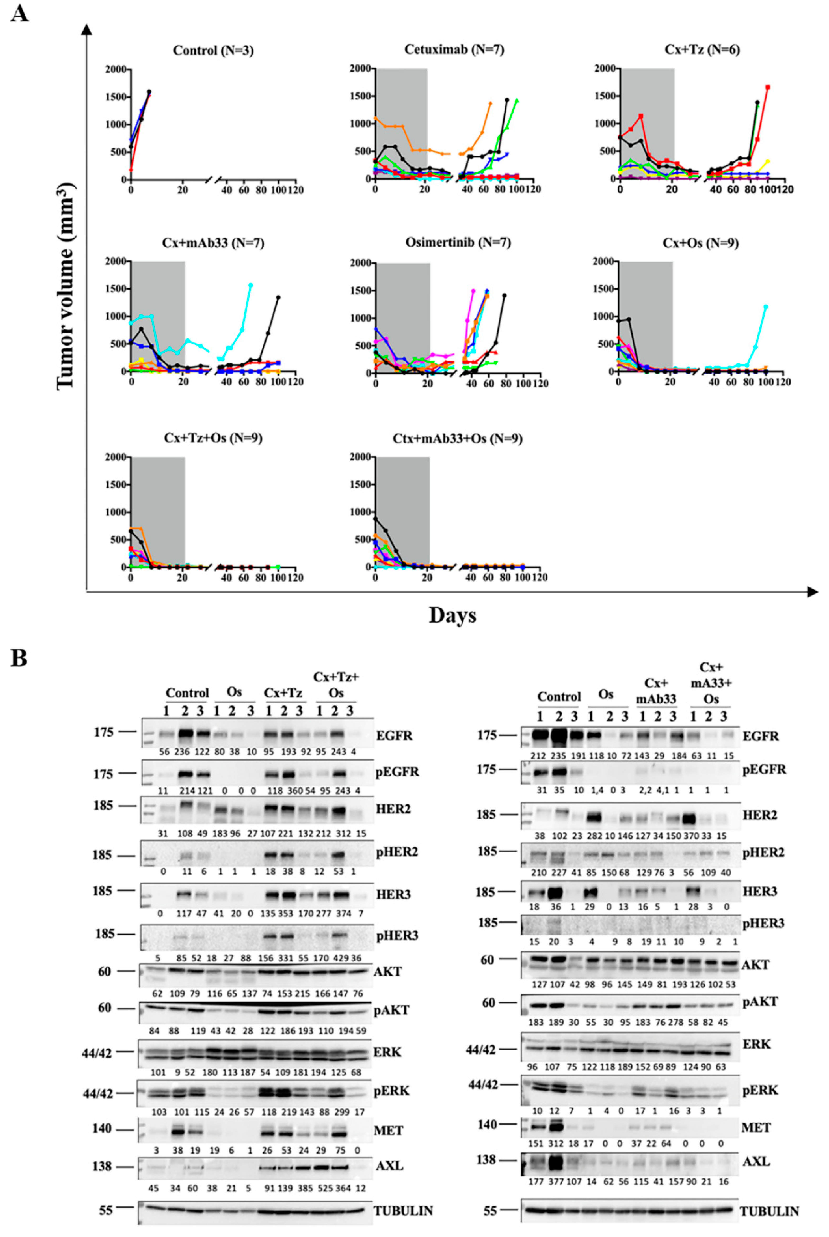 Cancers 12 02394 g005
