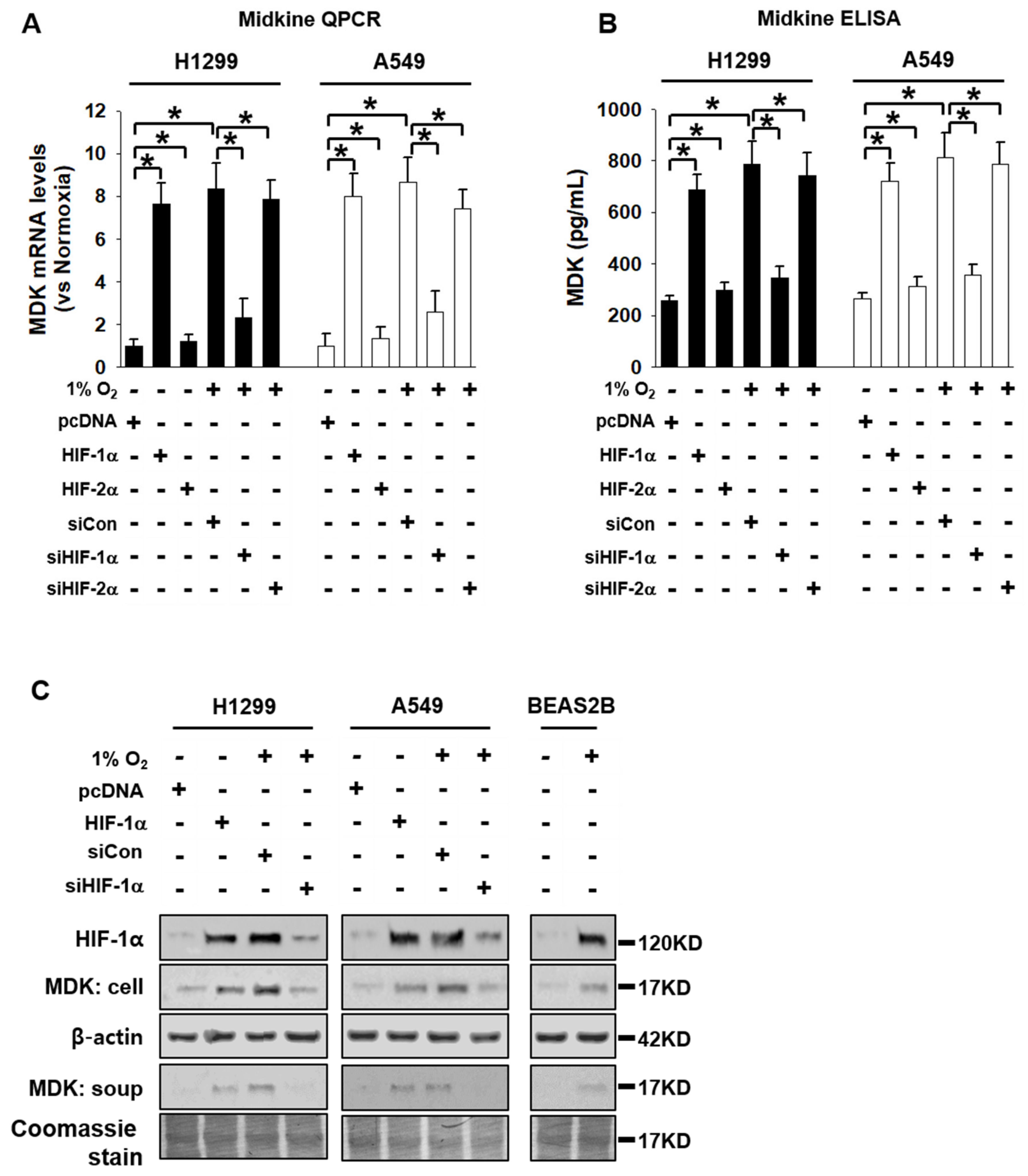 Cancers 12 02402 g002 Cancers 12 02402 g002