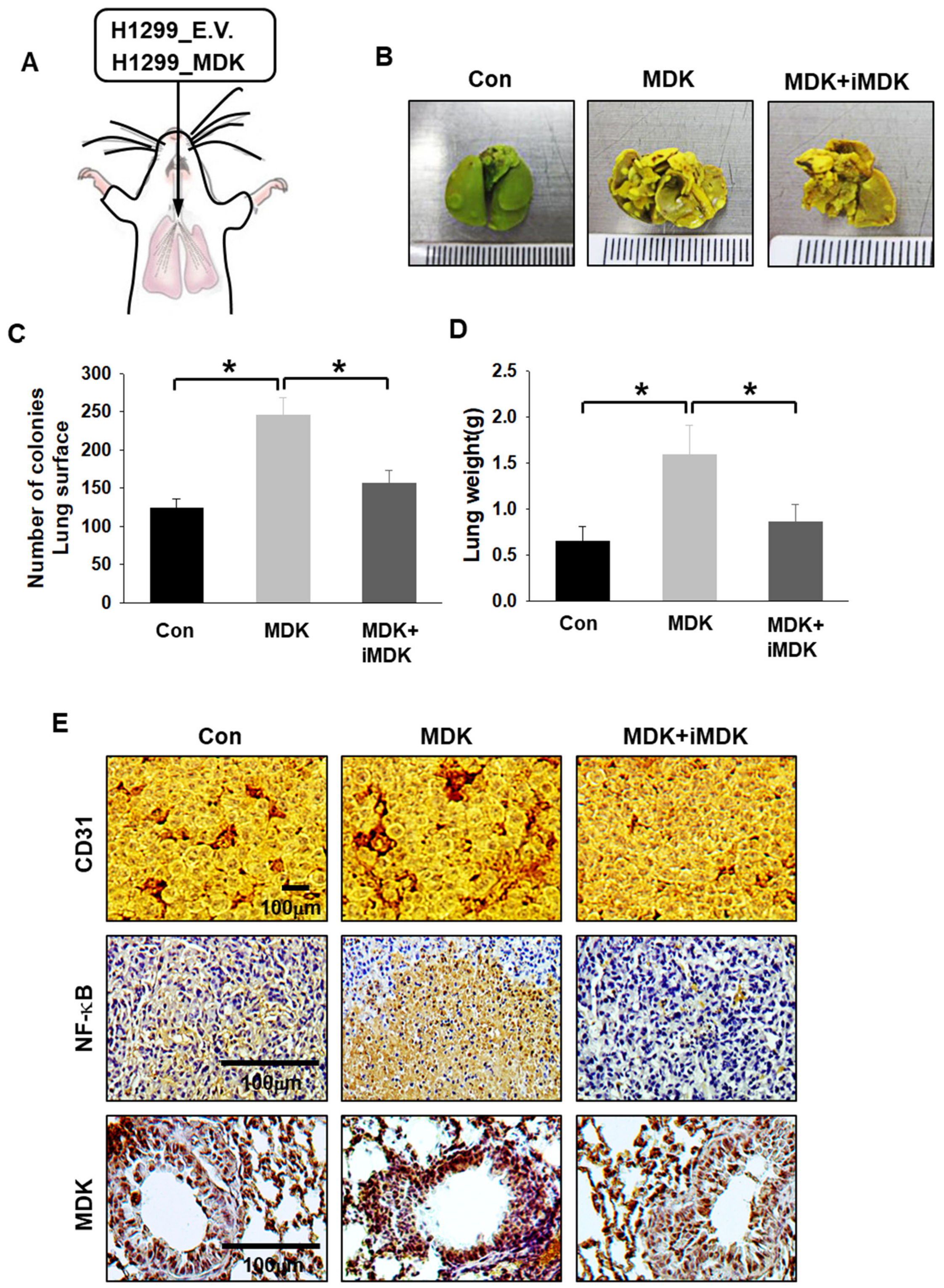 Cancers 12 02402 g006 Cancers 12 02402 g006