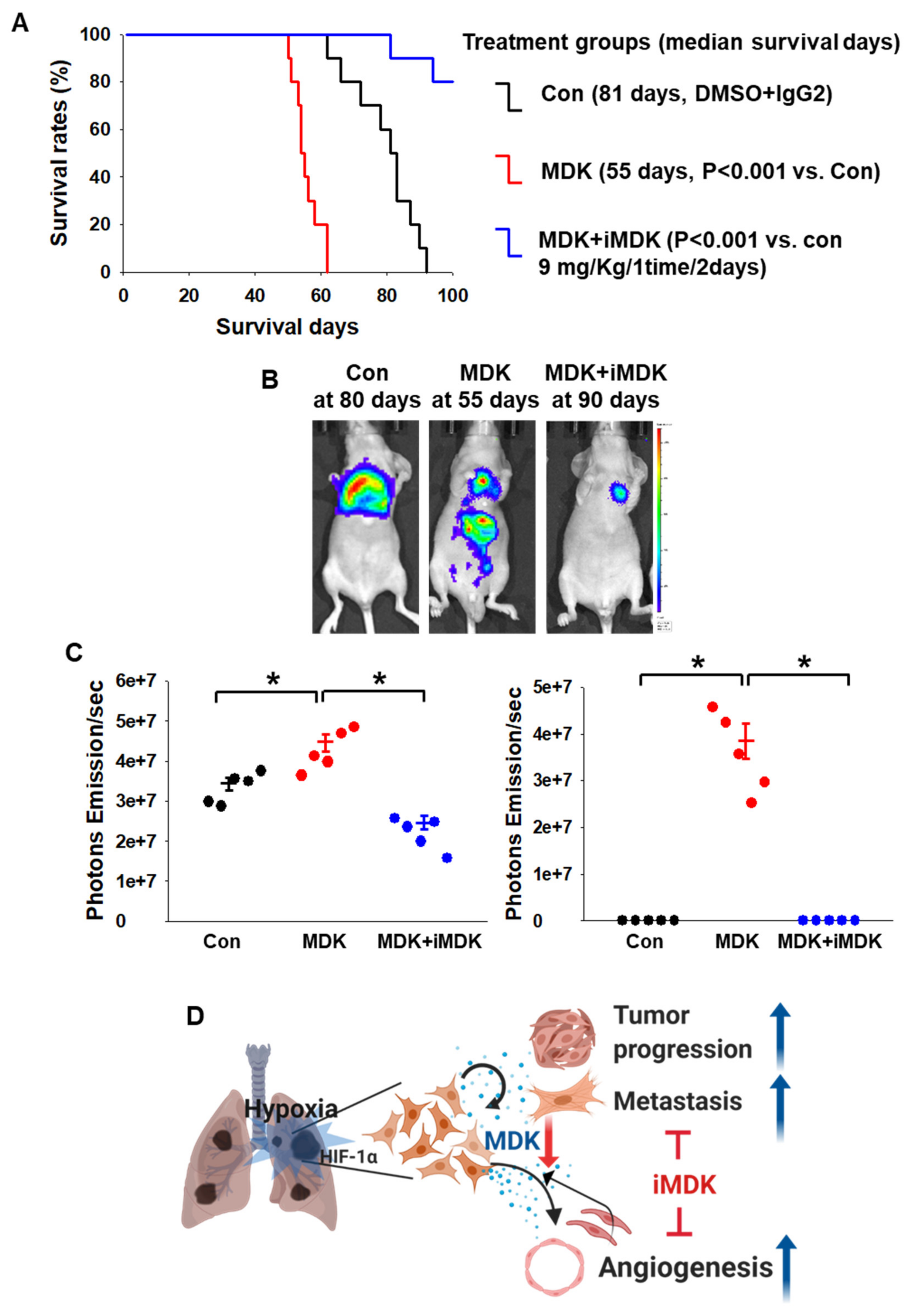 Cancers 12 02402 g007 Cancers 12 02402 g007