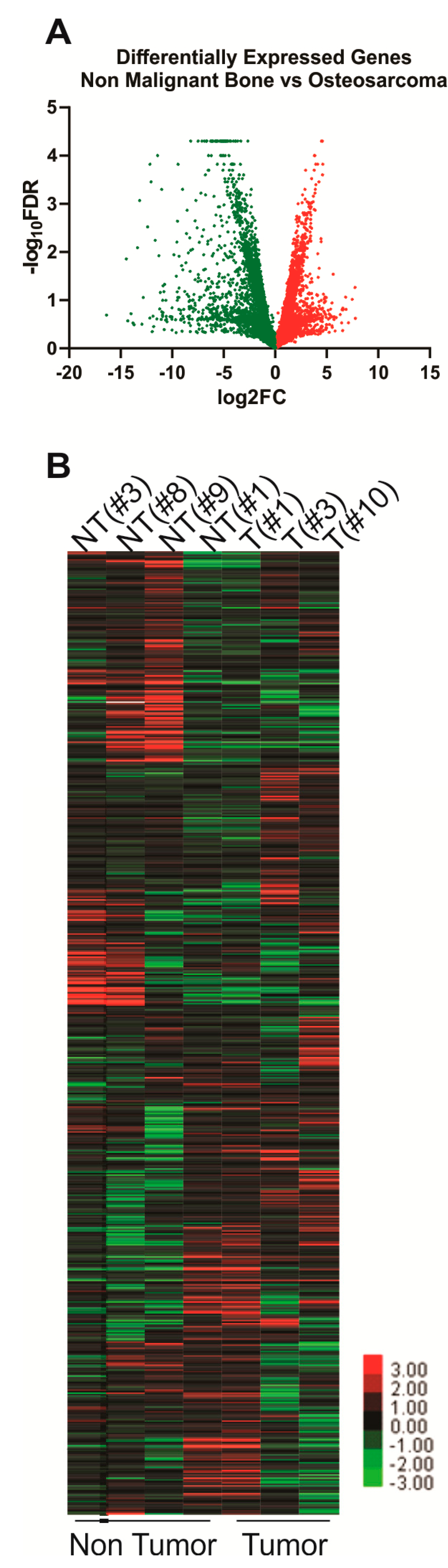 Cancers 12 02405 g001