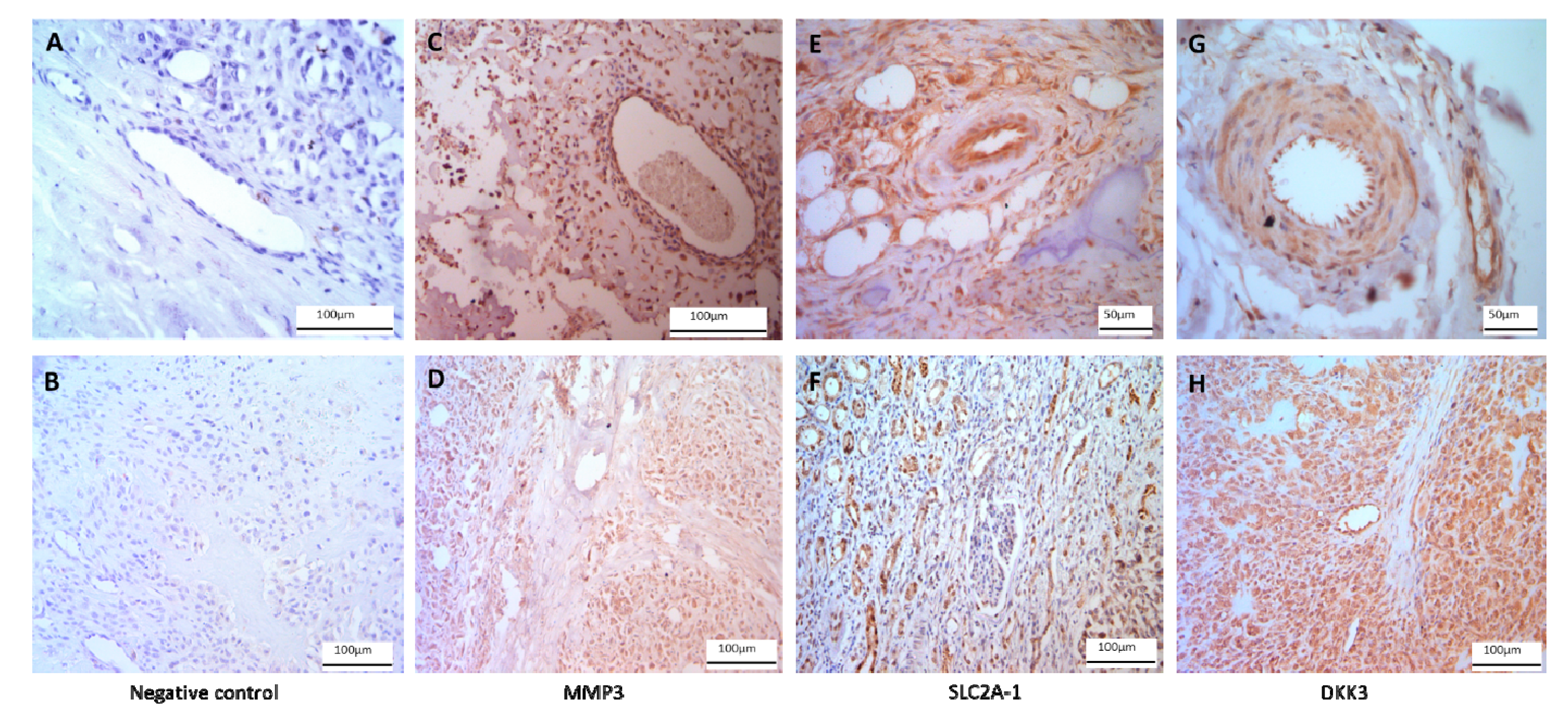 Cancers 12 02405 g003