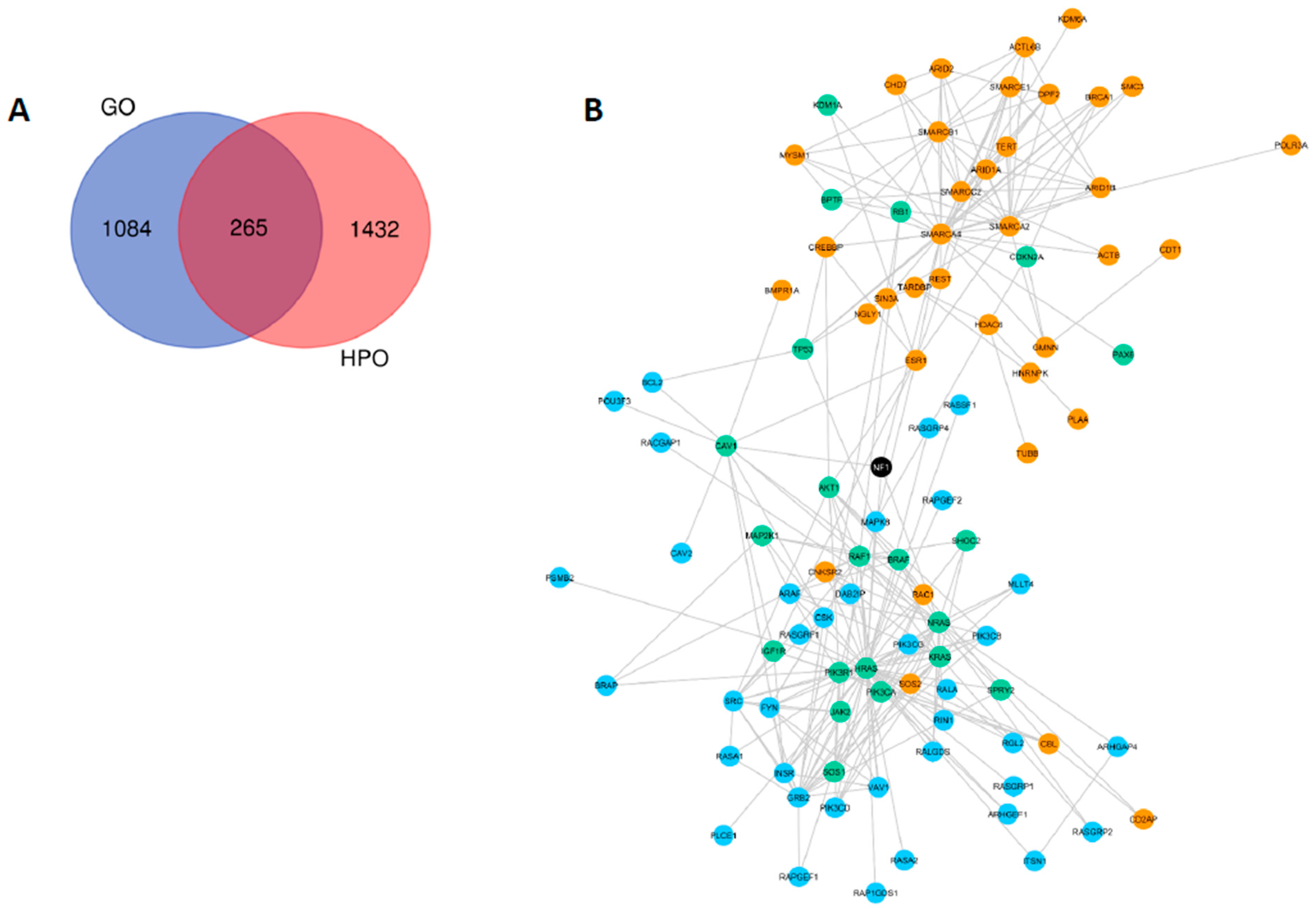 Cancers 12 02416 g002 Cancers 12 02416 g002