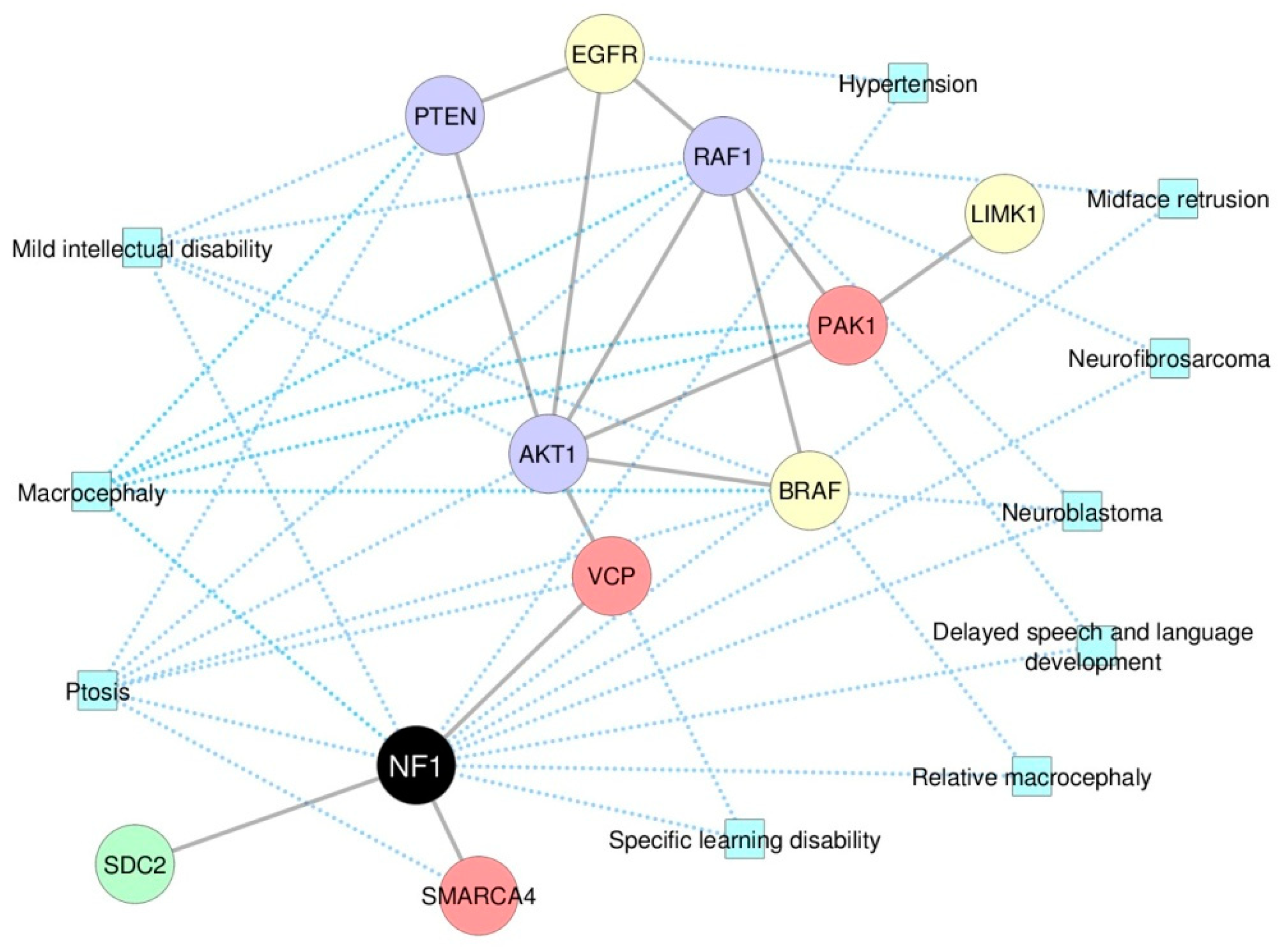 Cancers 12 02416 g004 Cancers 12 02416 g004