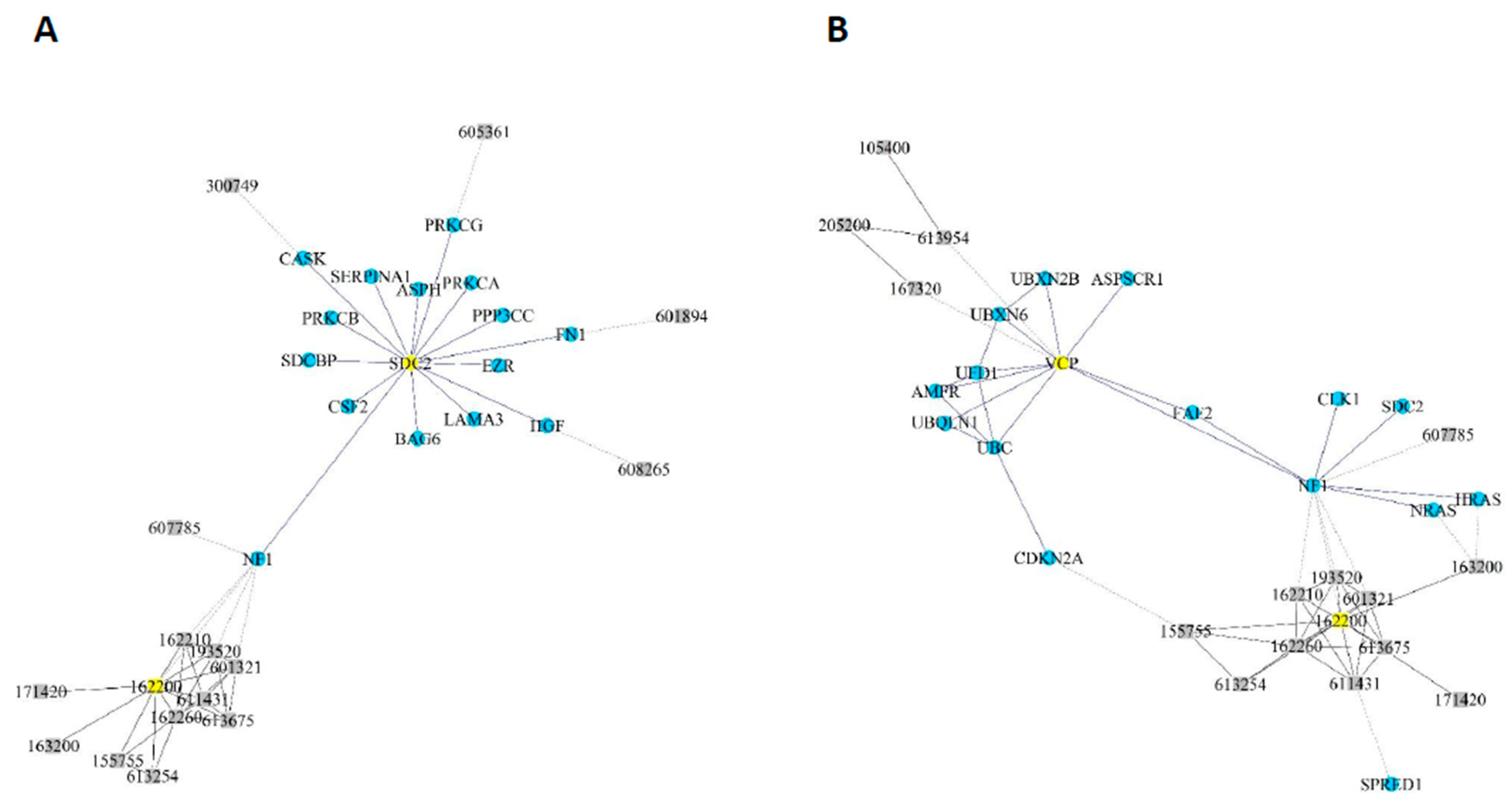Cancers 12 02416 g005 Cancers 12 02416 g005