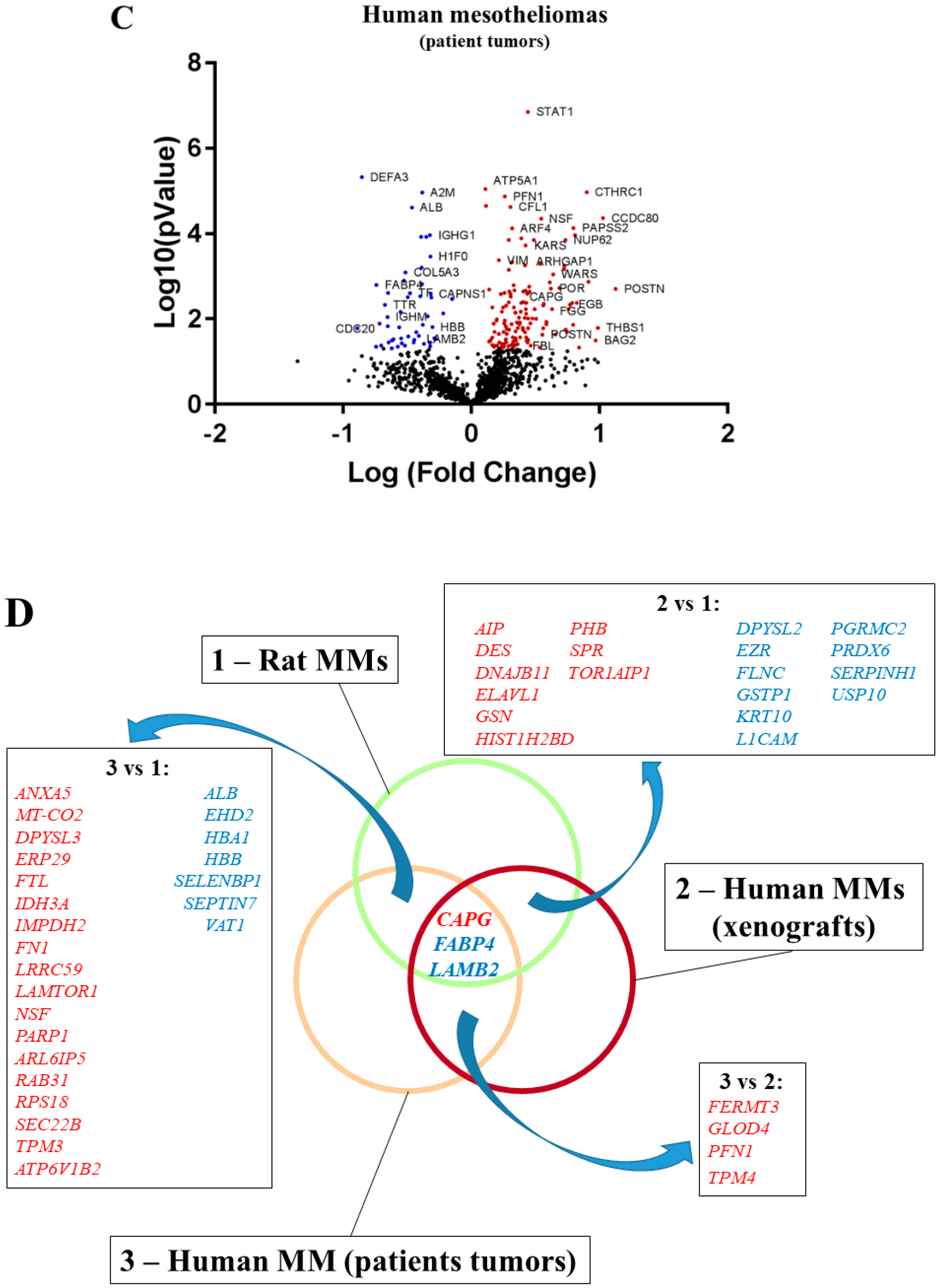 Cancers 12 02430 g002b