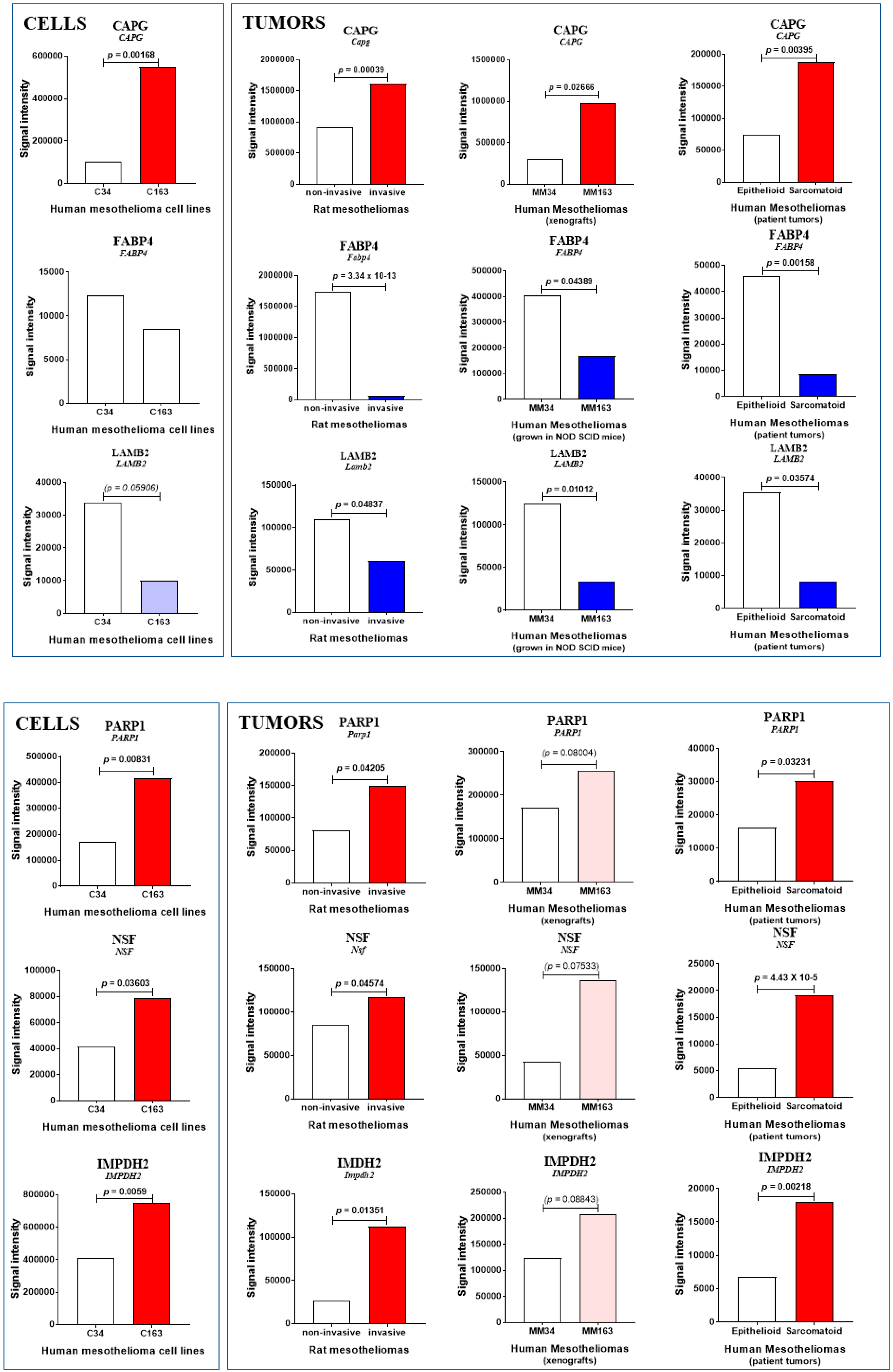 Cancers 12 02430 g003