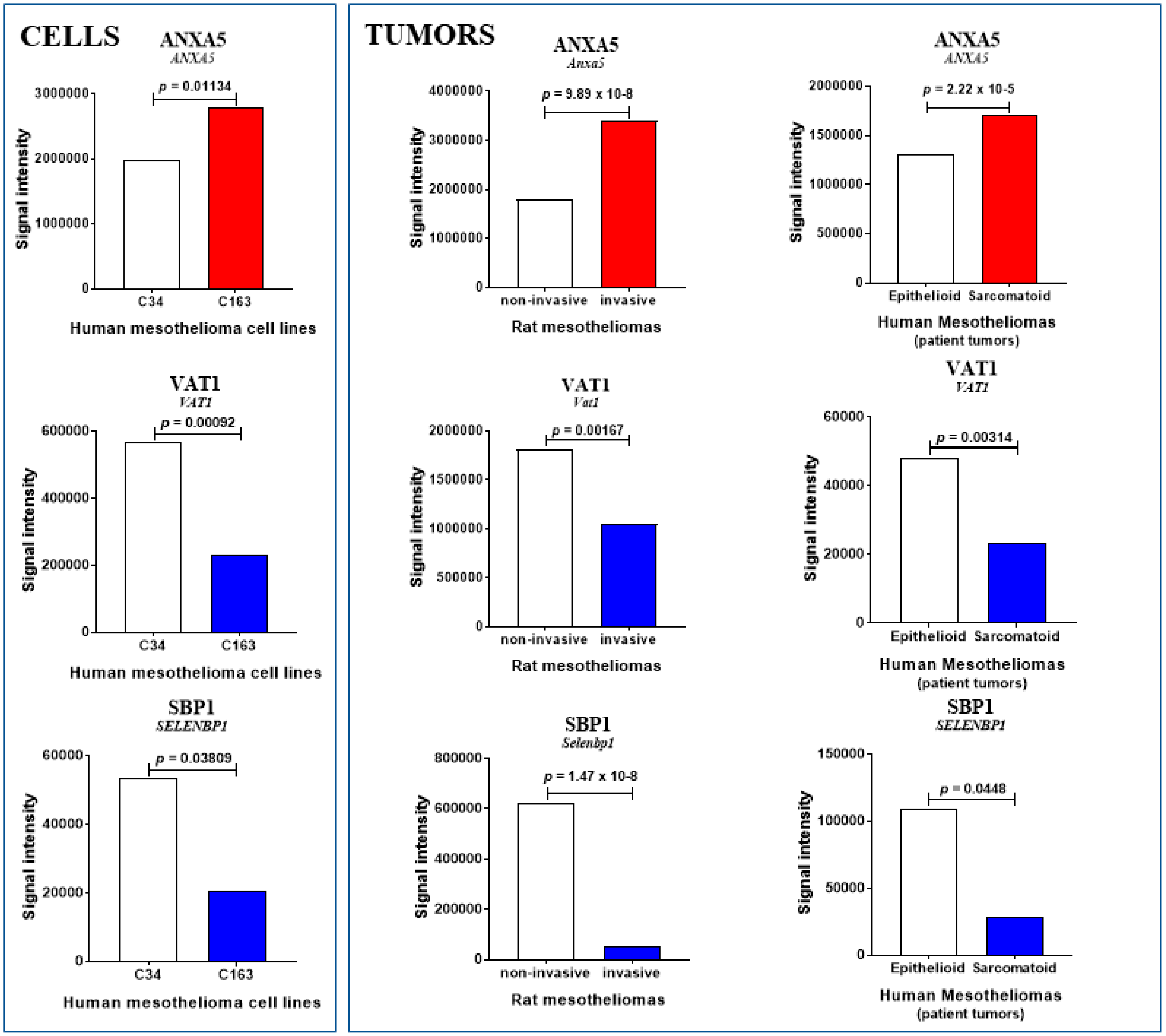 Cancers 12 02430 g004a
