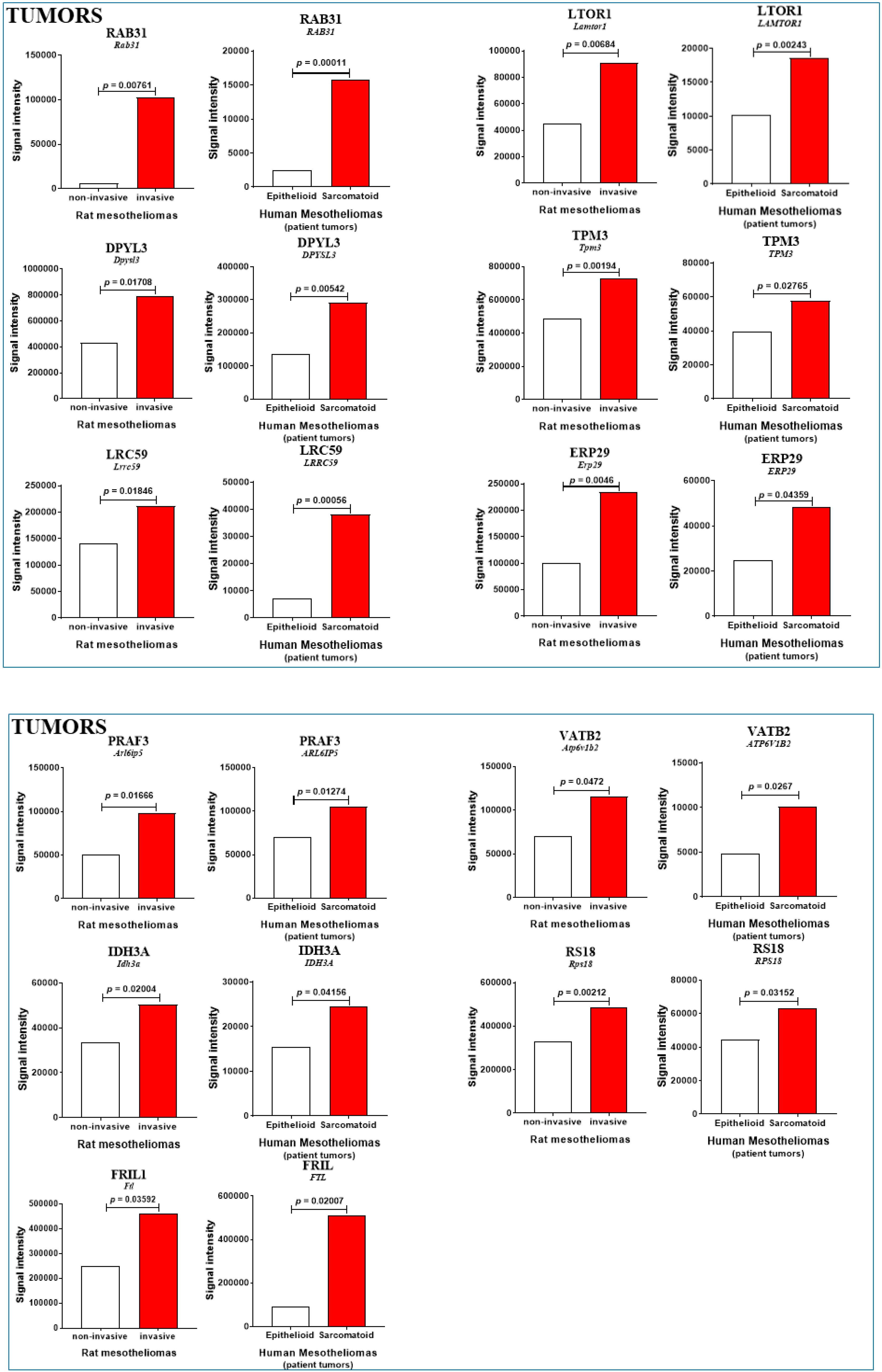 Cancers 12 02430 g005a