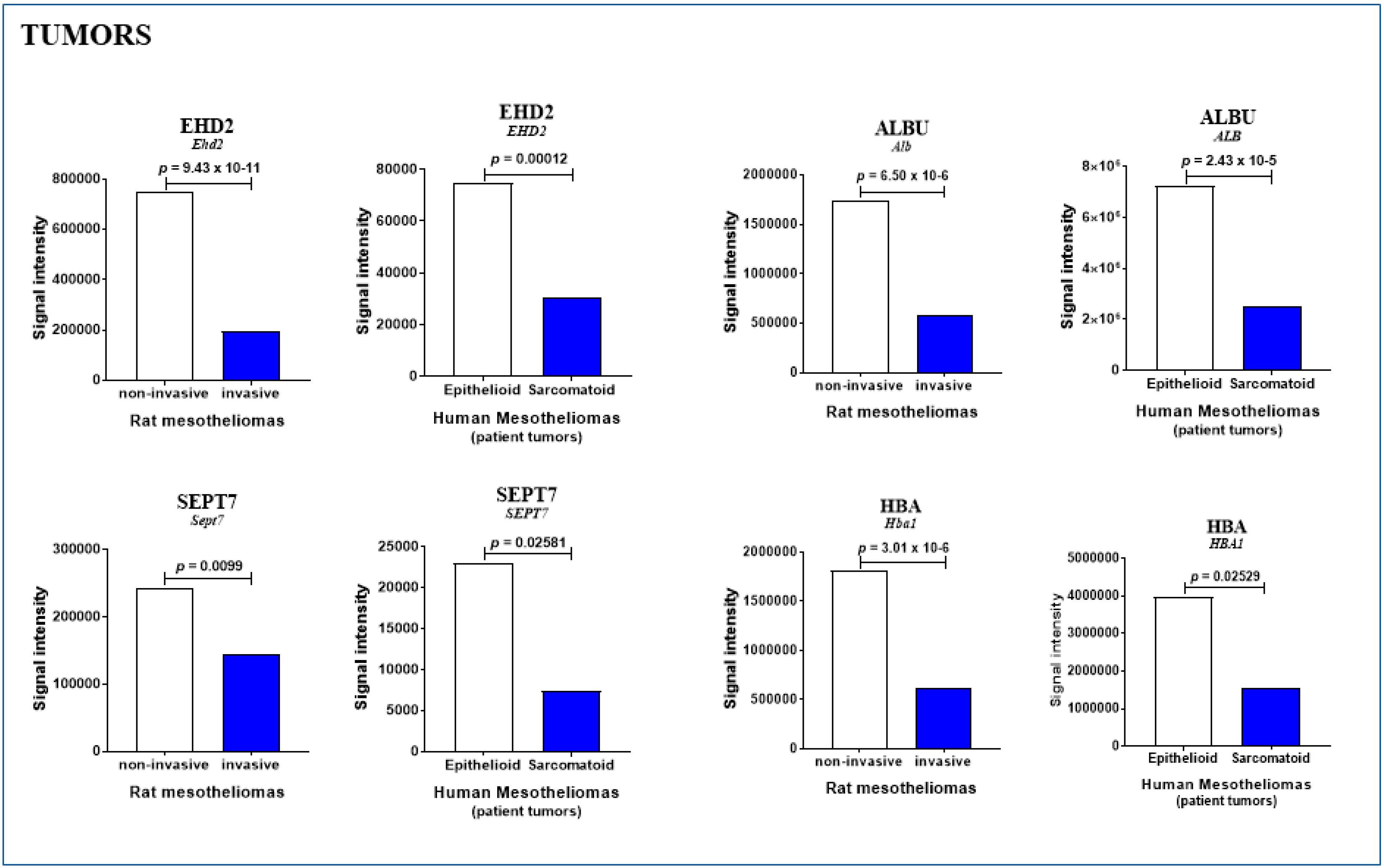 Cancers 12 02430 g005b