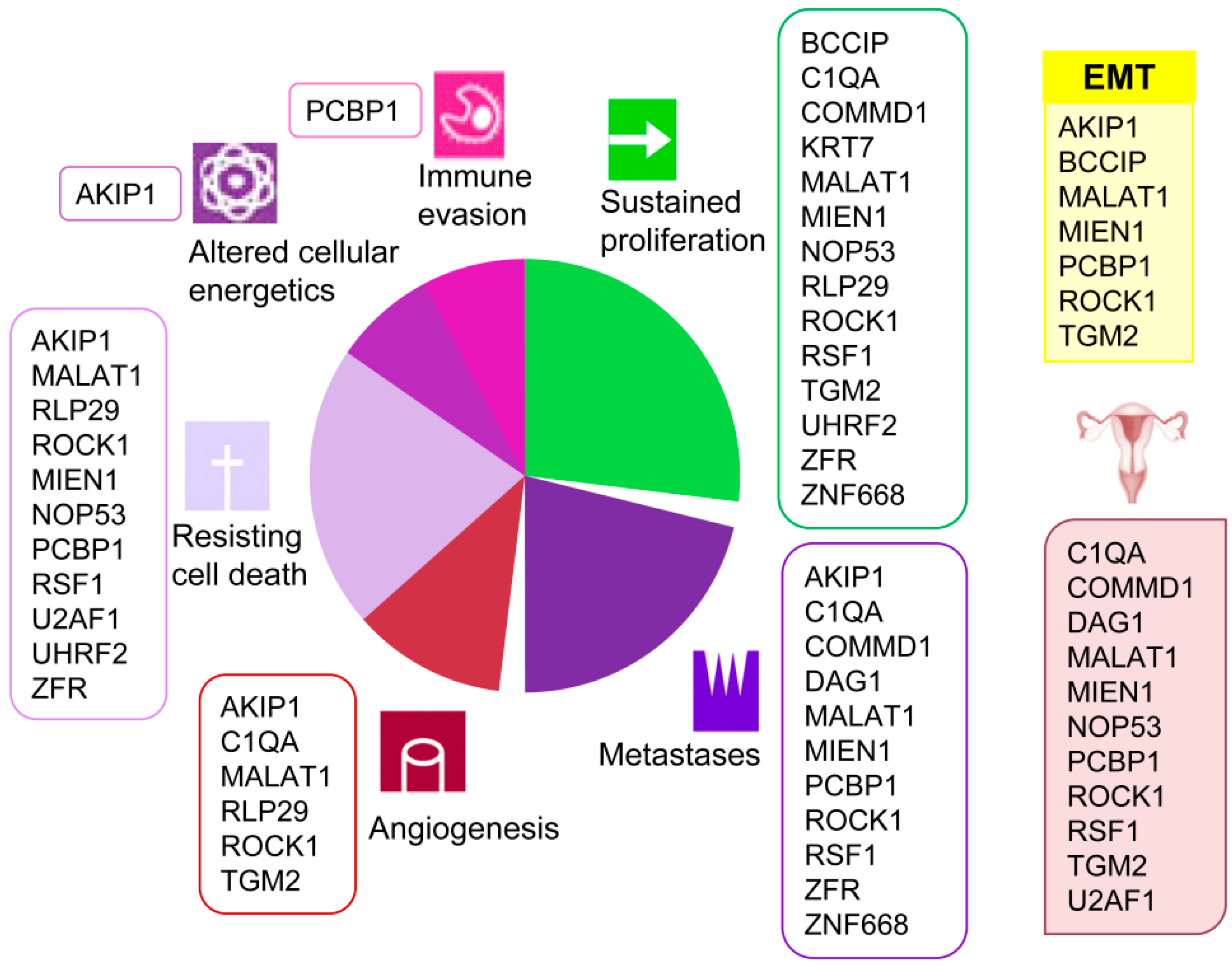 Cancers 12 02435 g002 Cancers 12 02435 g002
