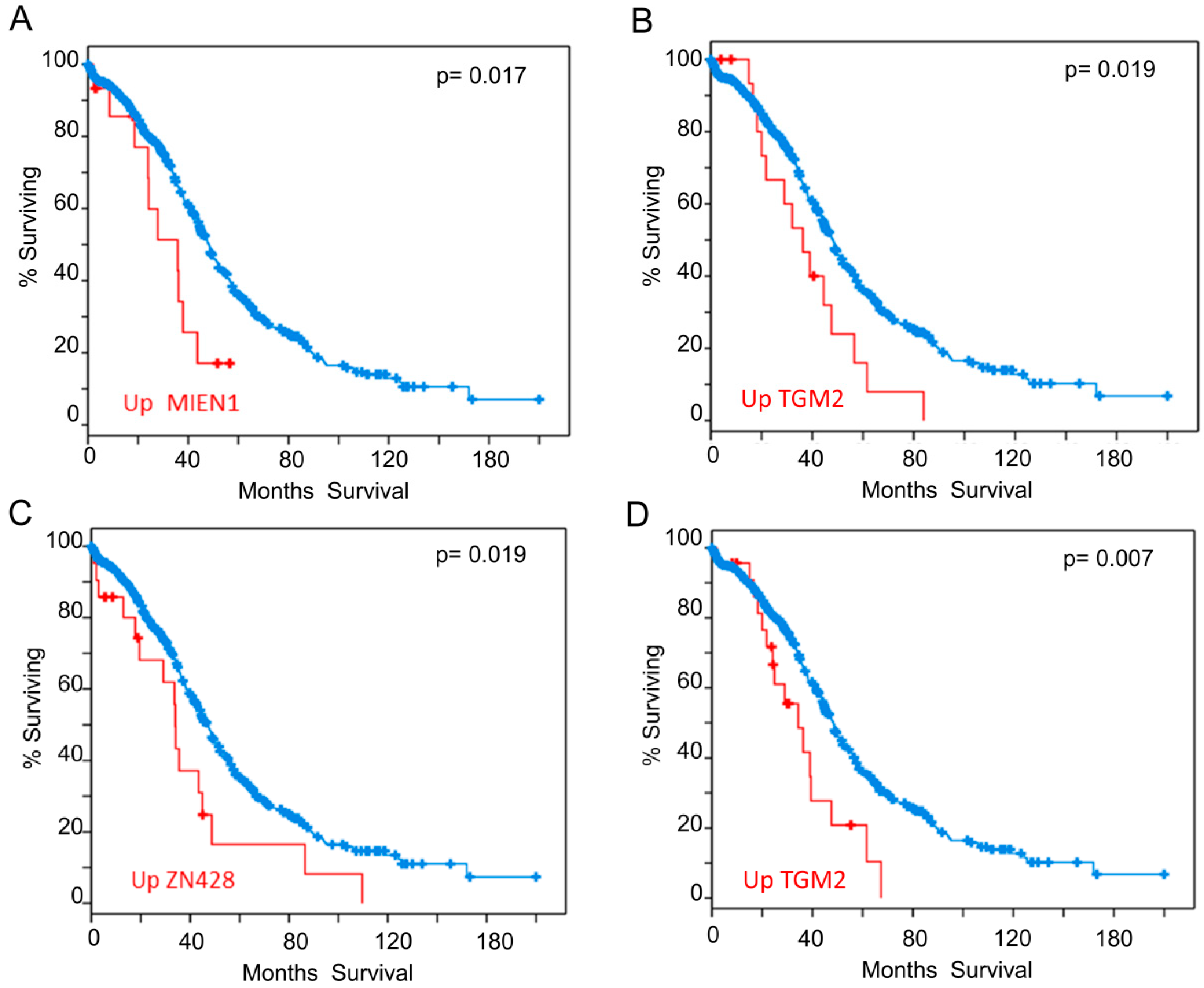 Cancers 12 02435 g004 Cancers 12 02435 g004