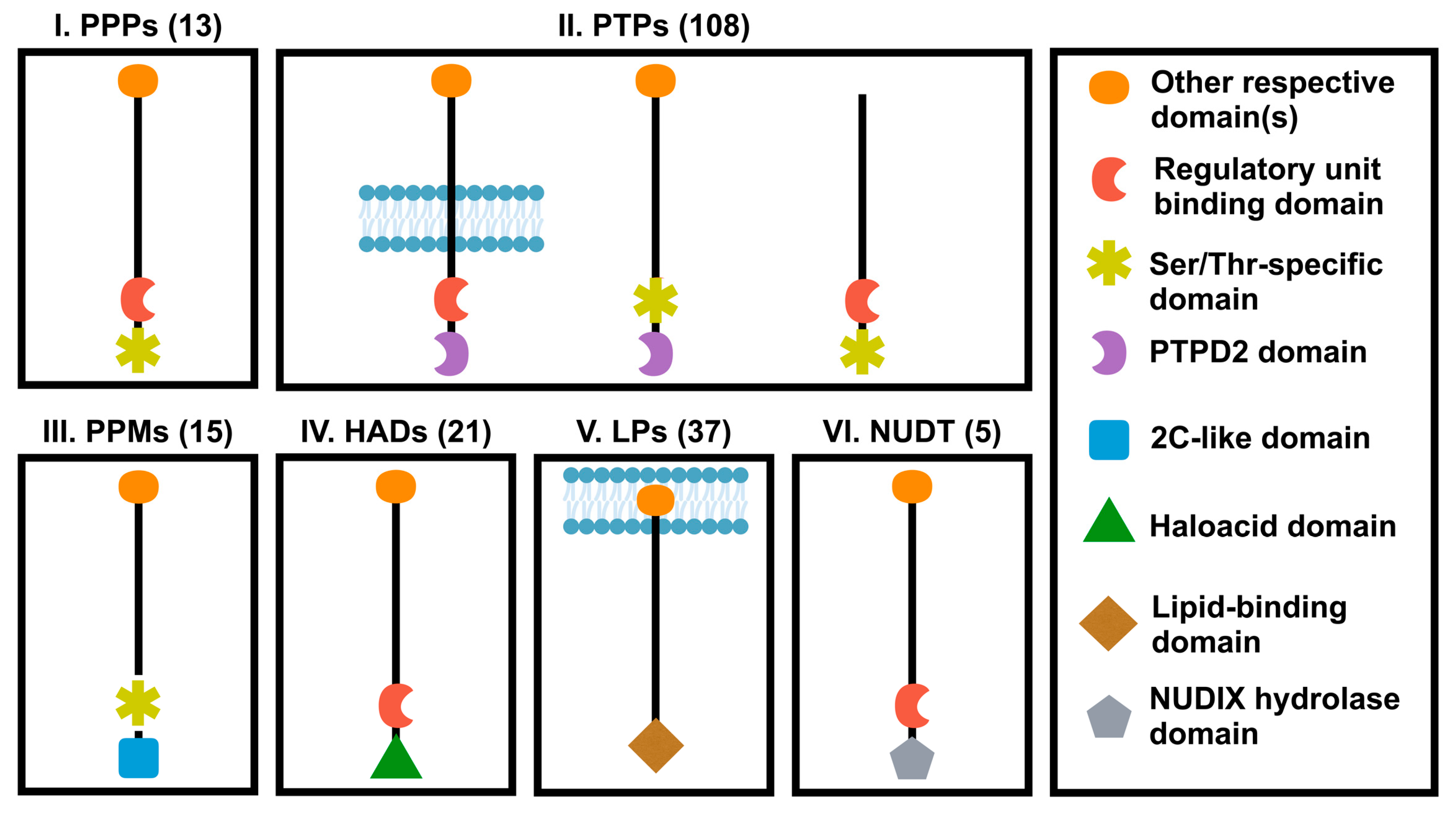 Cancers 12 02438 g002