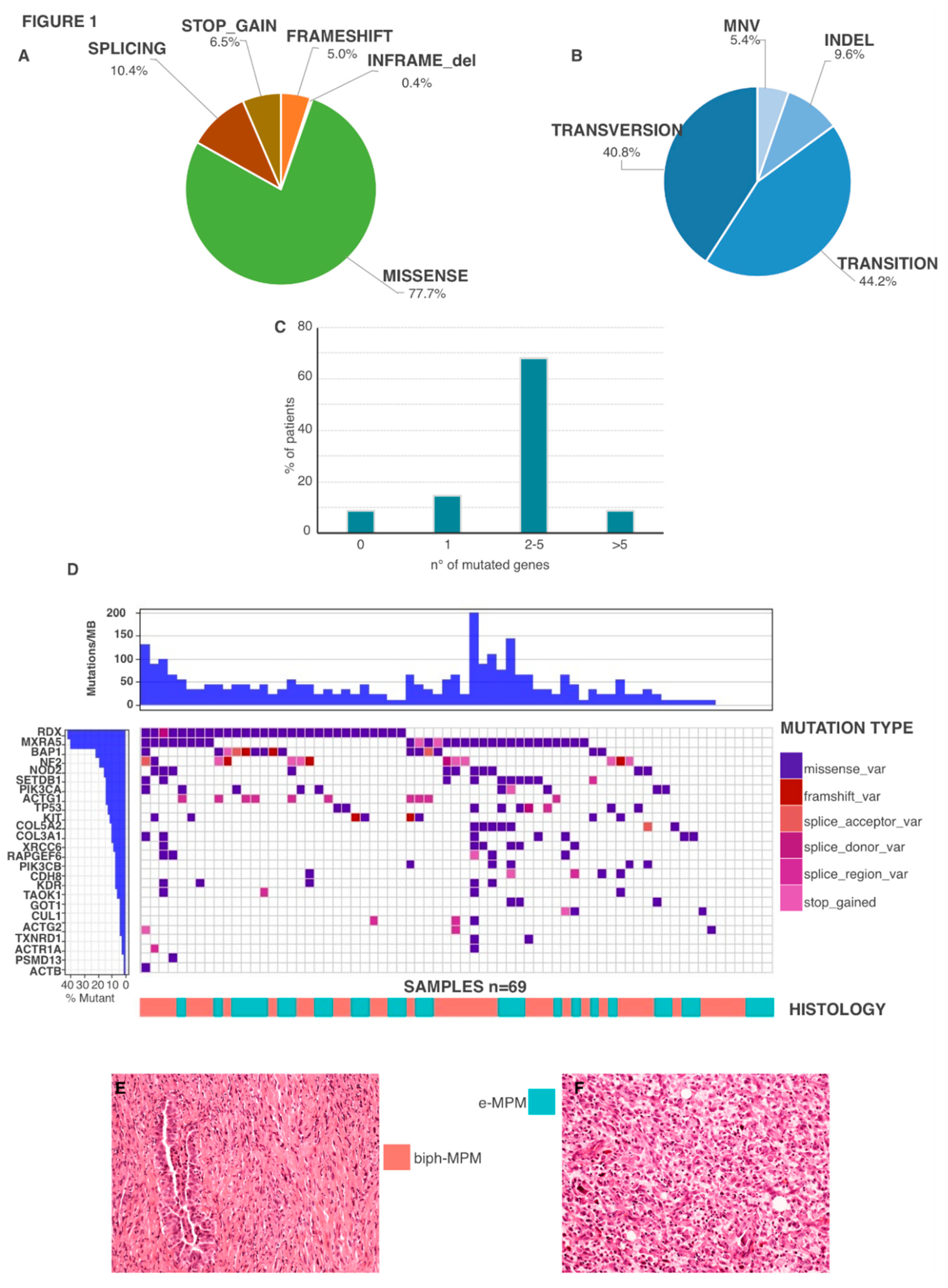 Cancers 12 02454 g001
