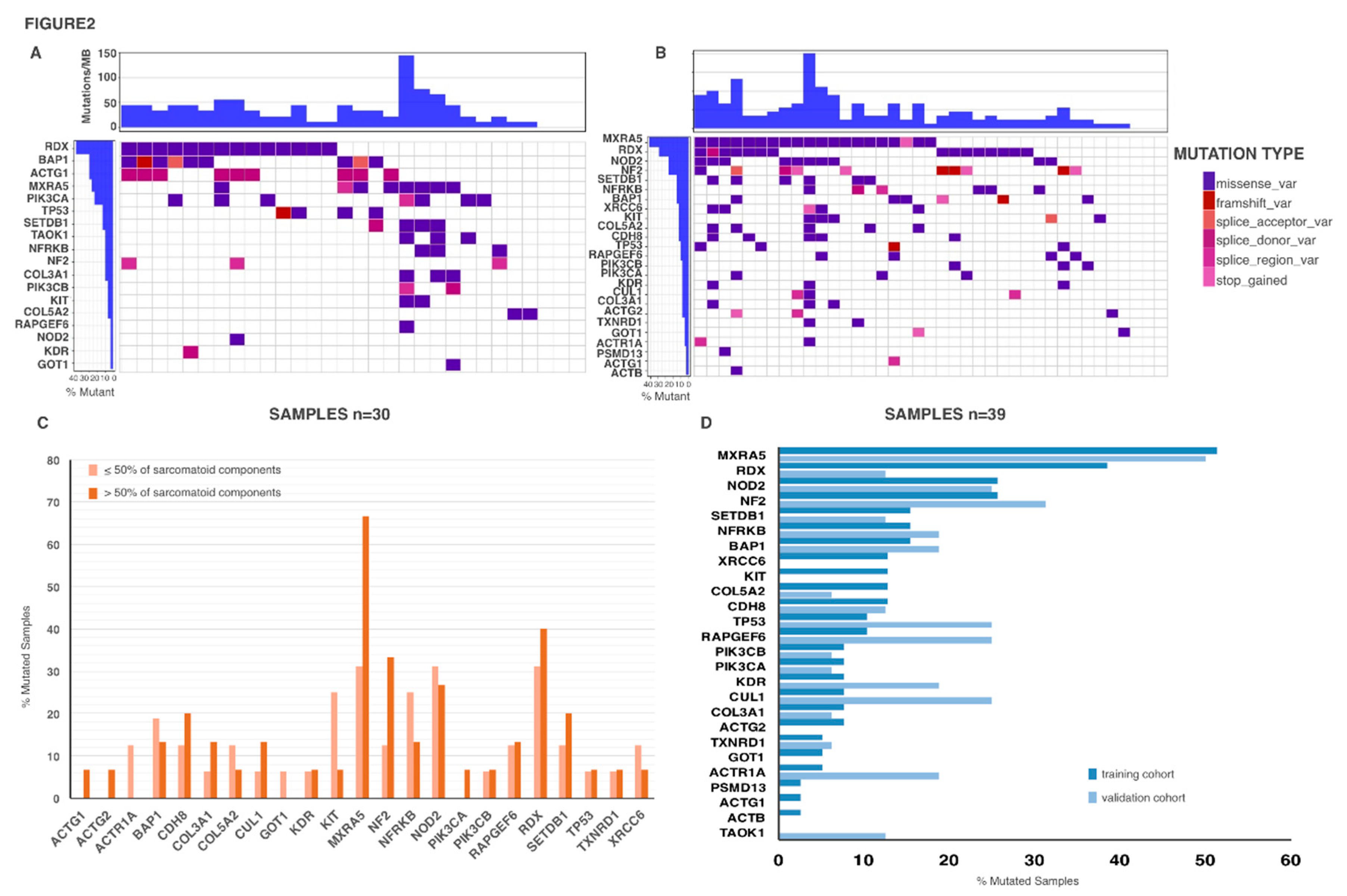 Cancers 12 02454 g002