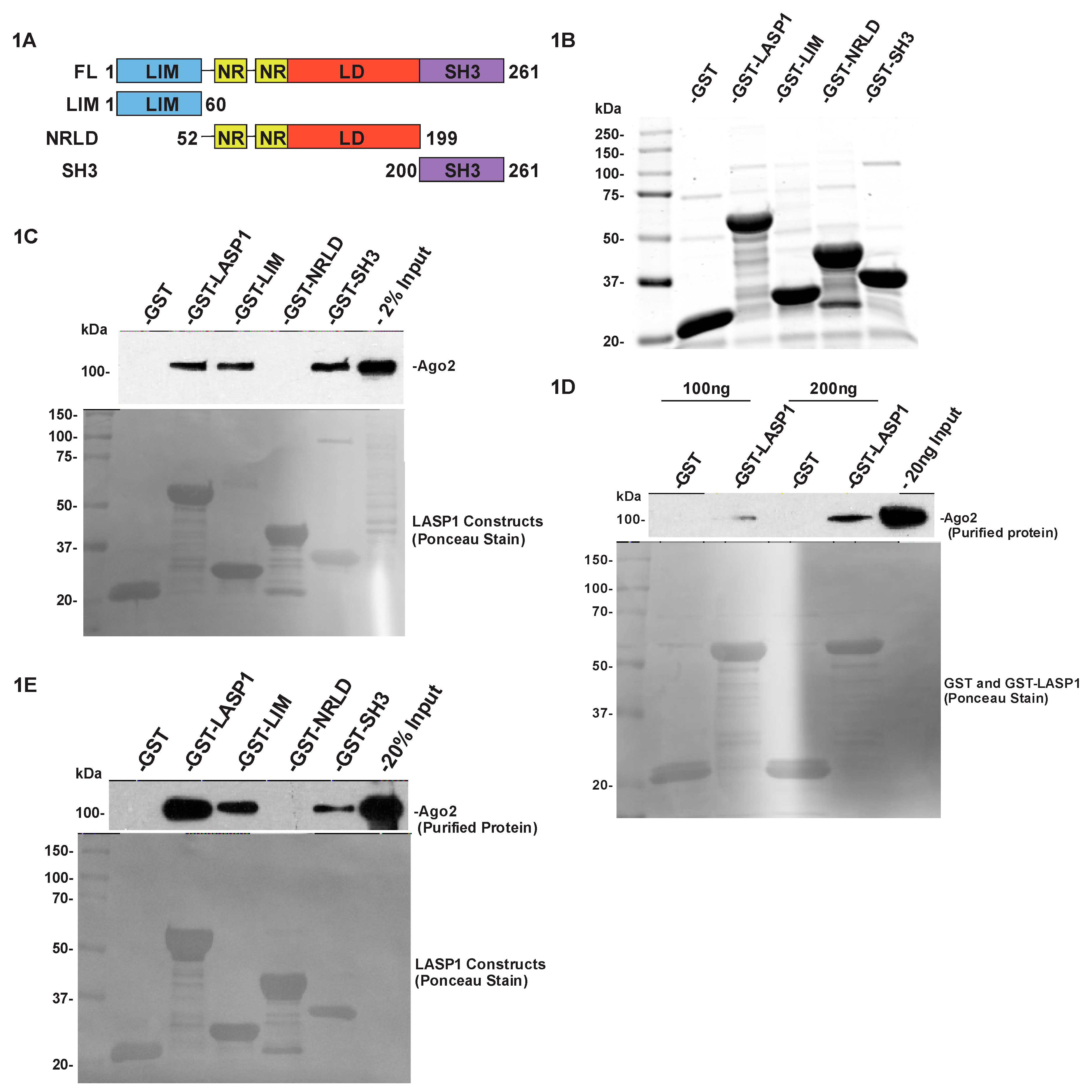 Cancers 12 02455 g001 Cancers 12 02455 g001