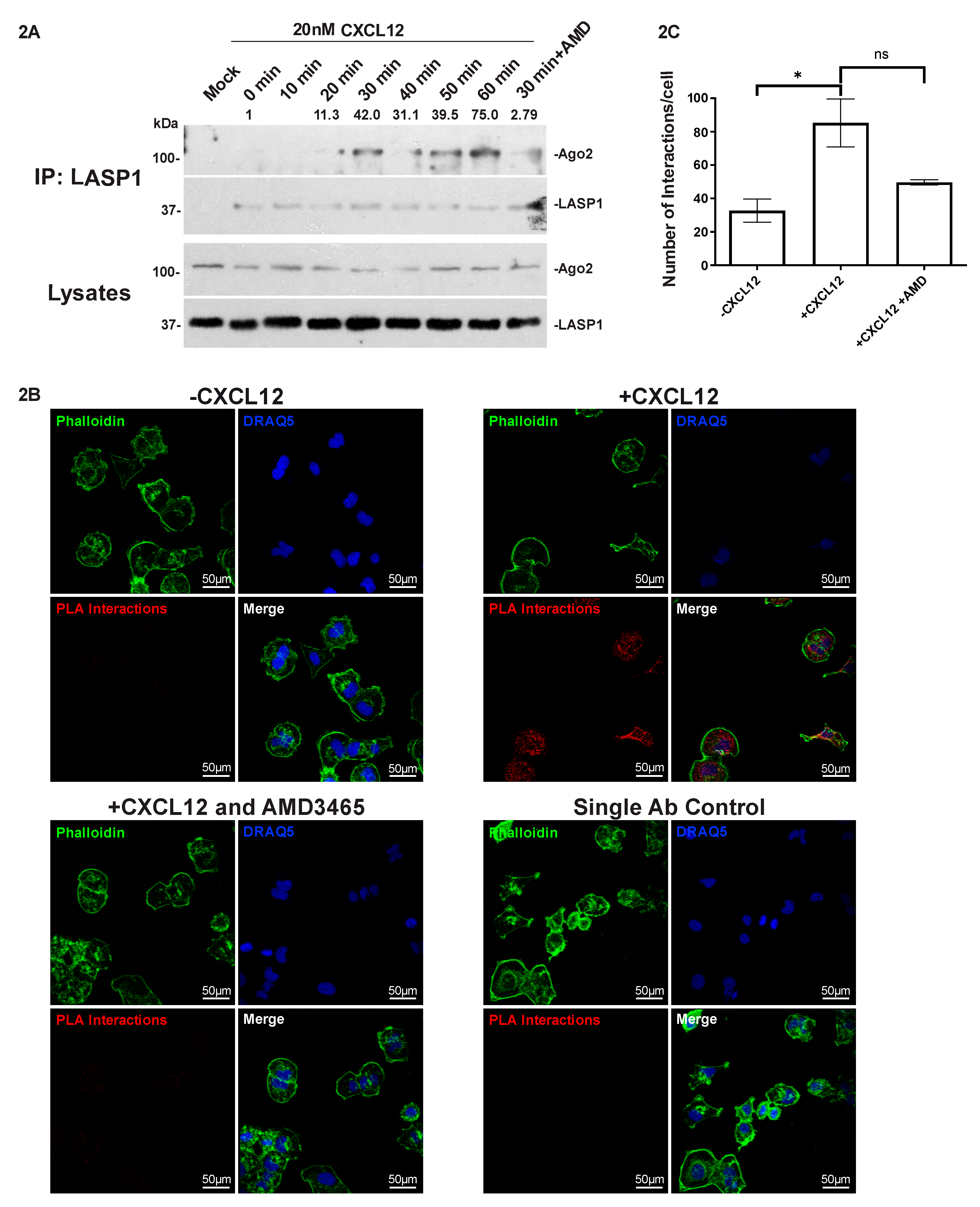 Cancers 12 02455 g002 Cancers 12 02455 g002
