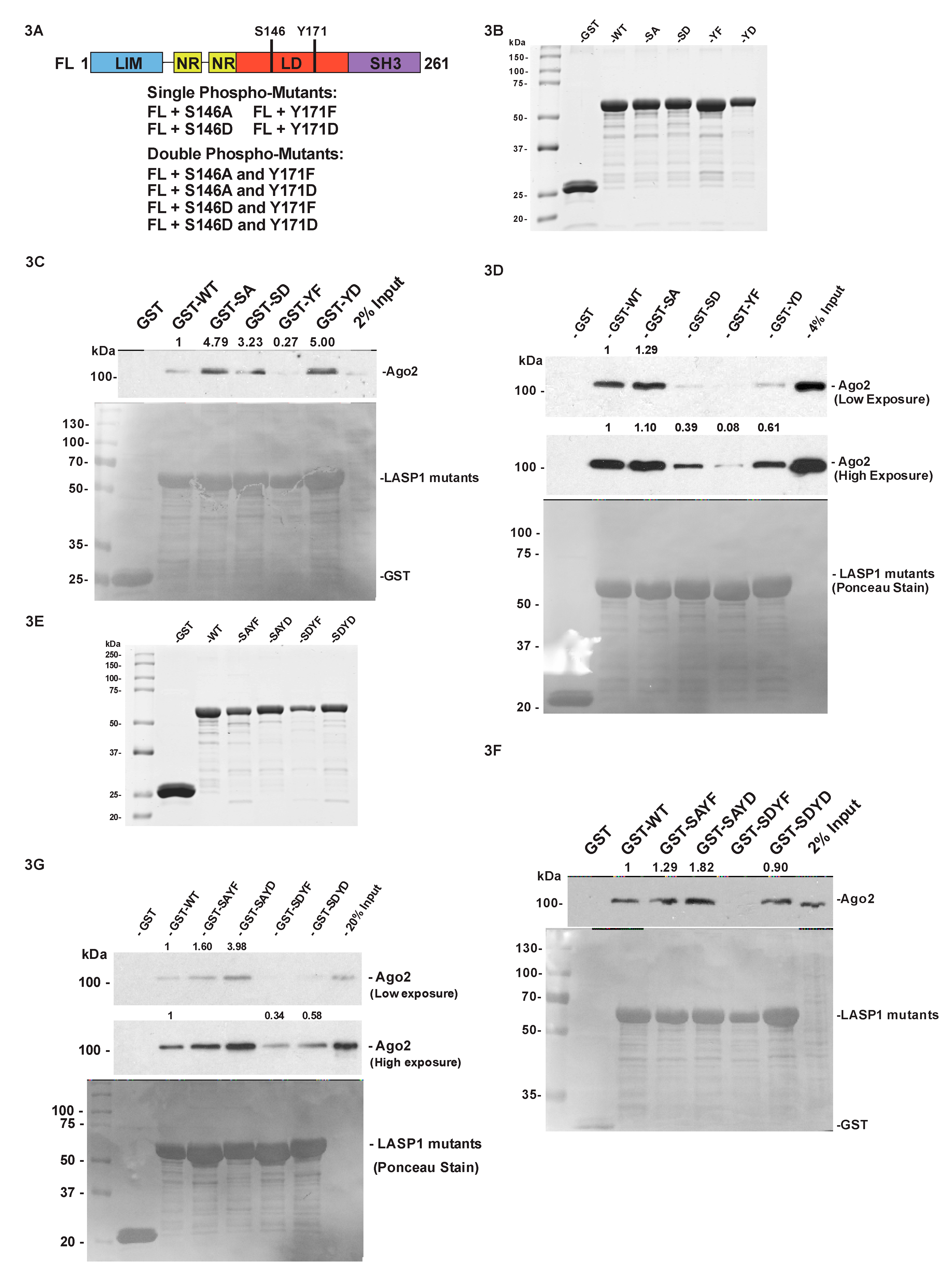 Cancers 12 02455 g003 Cancers 12 02455 g003