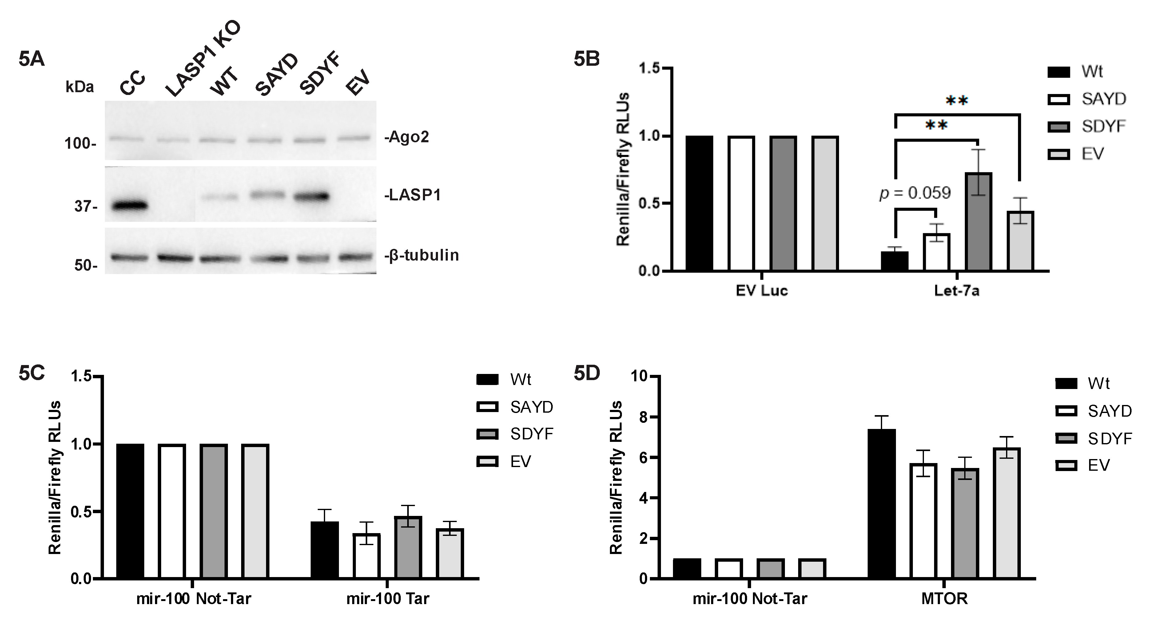 Cancers 12 02455 g005 Cancers 12 02455 g005