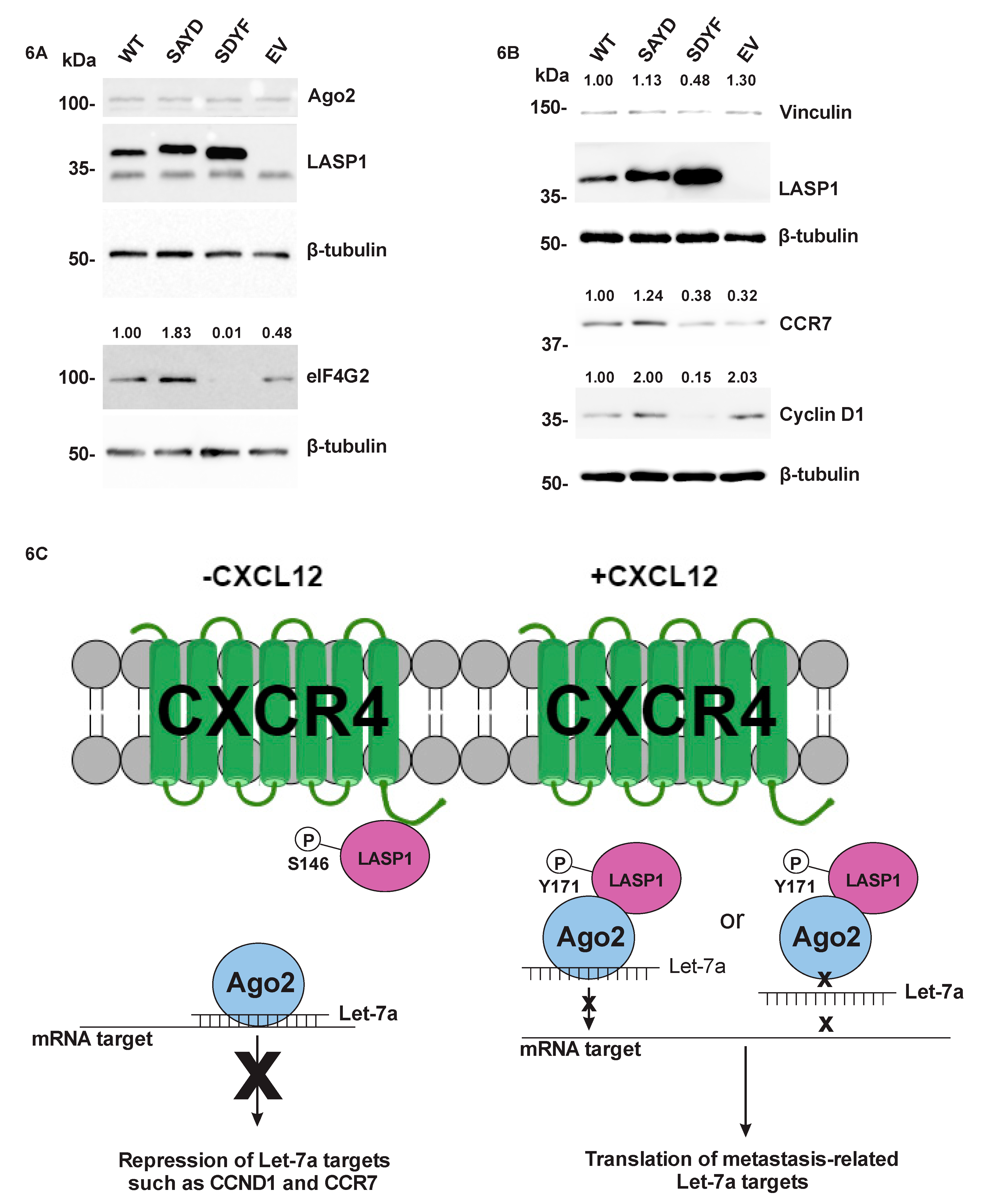 Cancers 12 02455 g006 Cancers 12 02455 g006