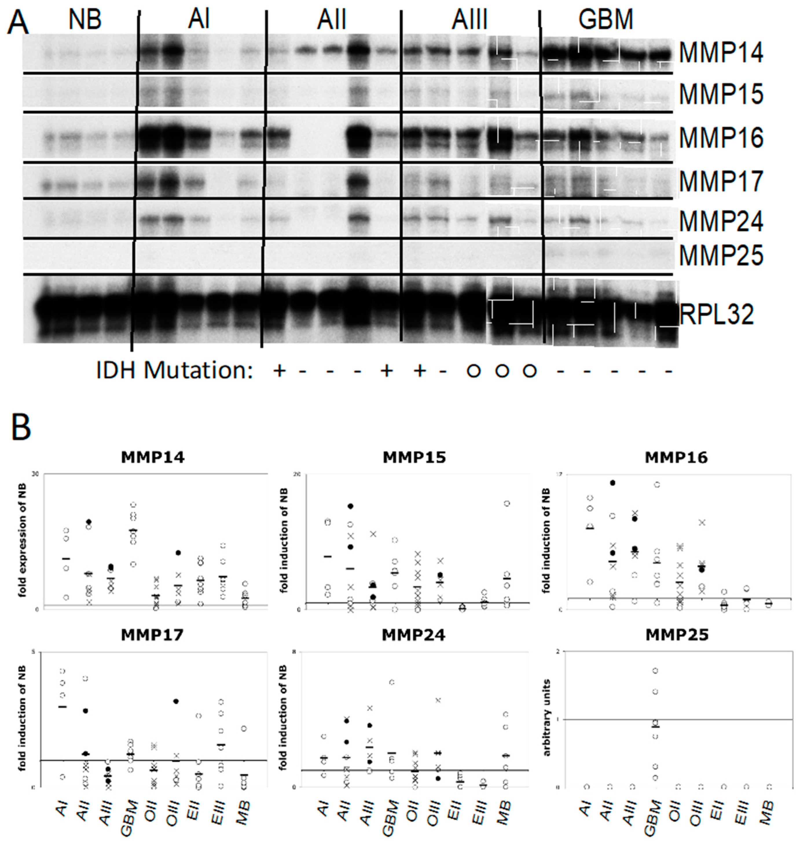Cancers 12 02456 g001