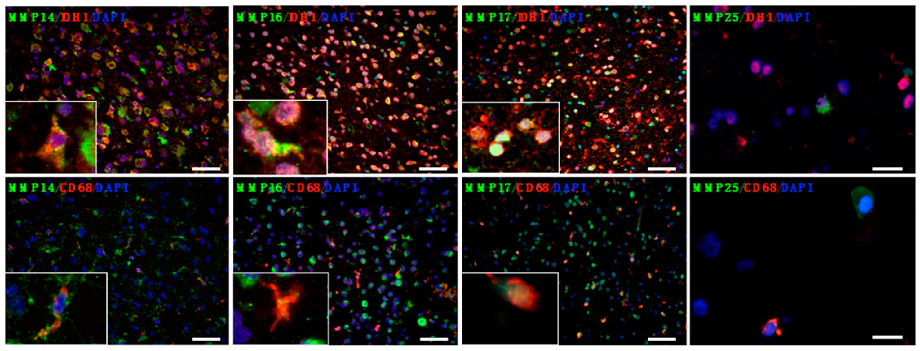 Cancers 12 02456 g002