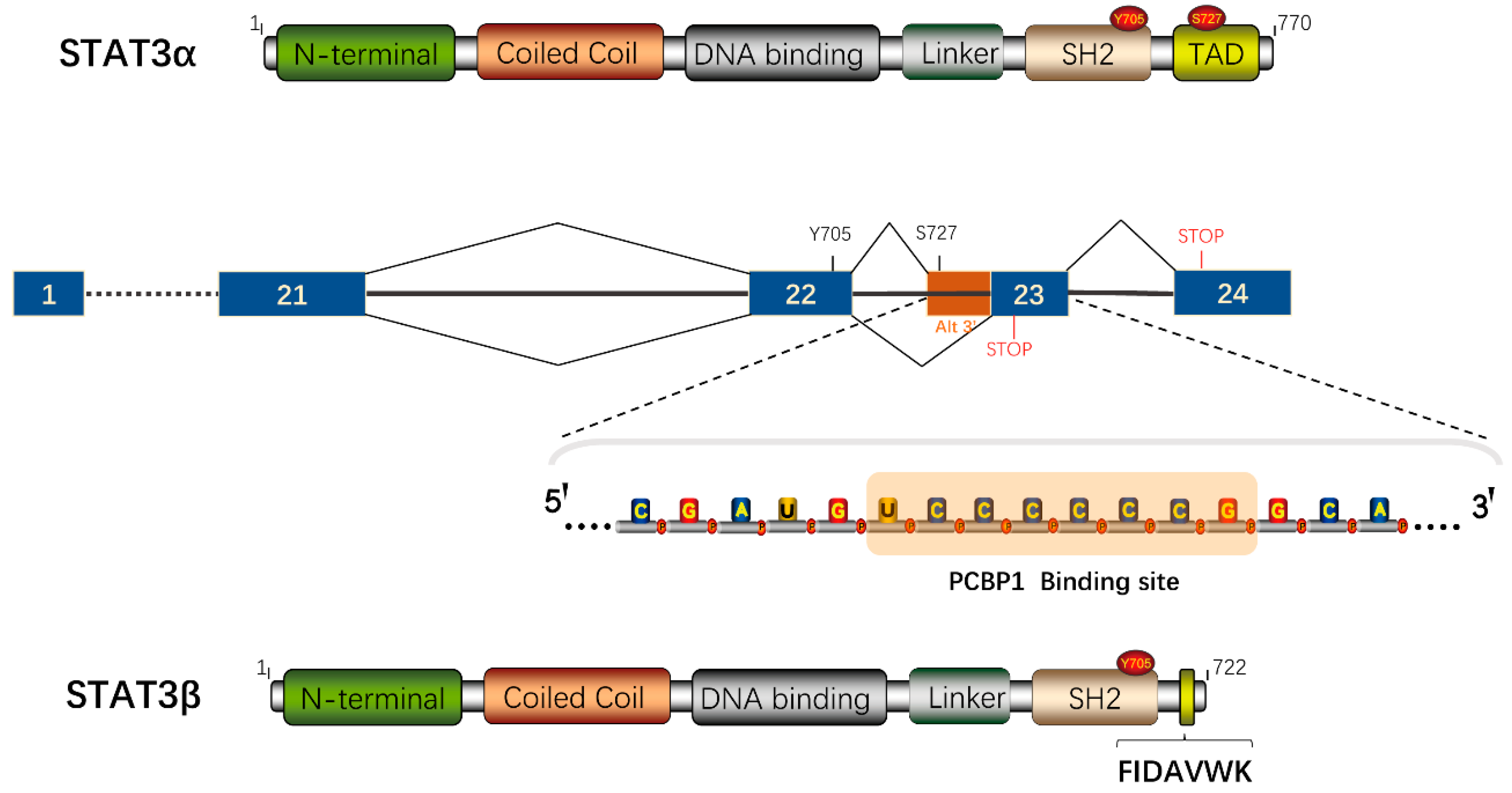 Cancers 12 02459 g001