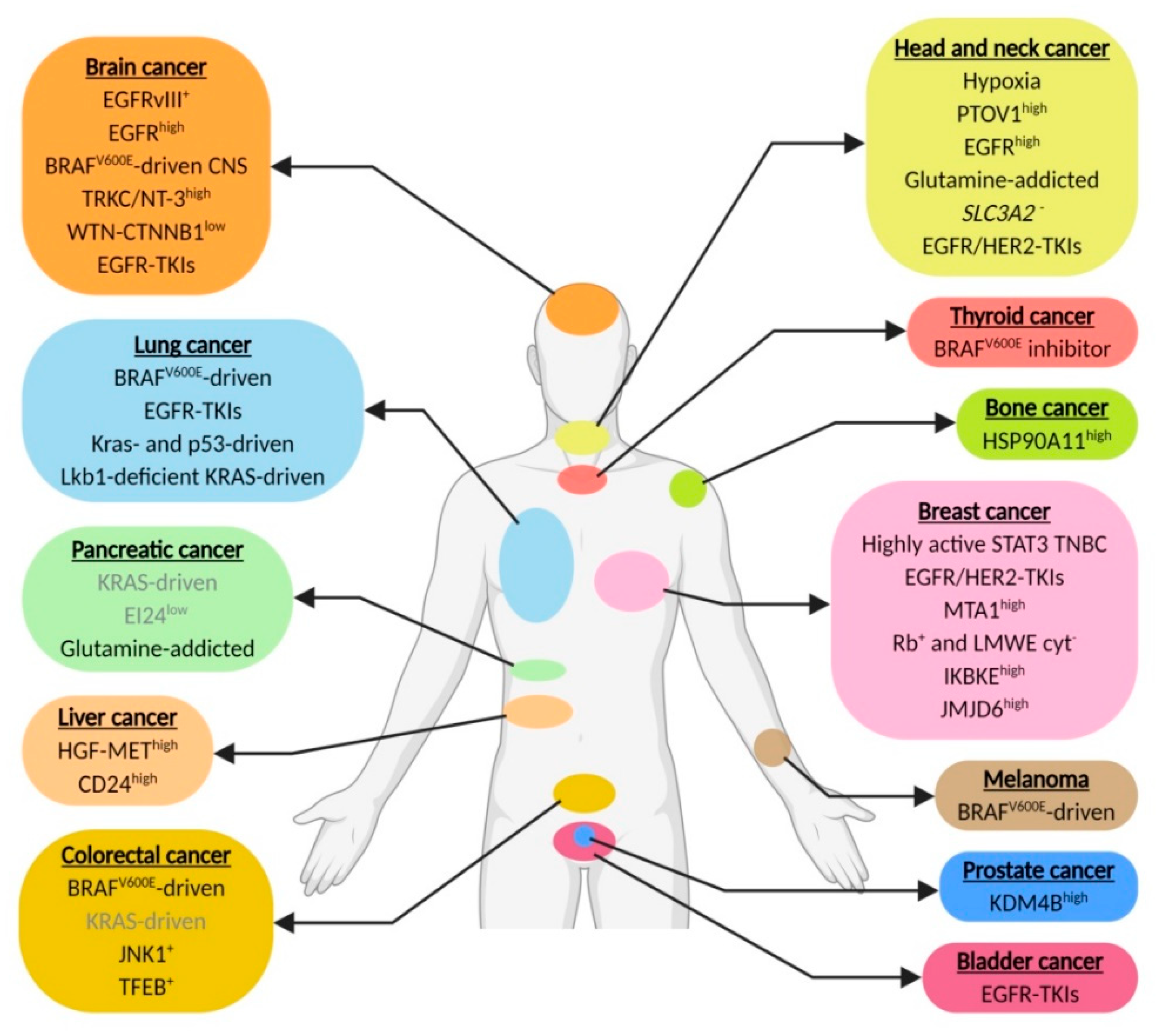 Cancers 12 02463 g001 Cancers 12 02463 g001