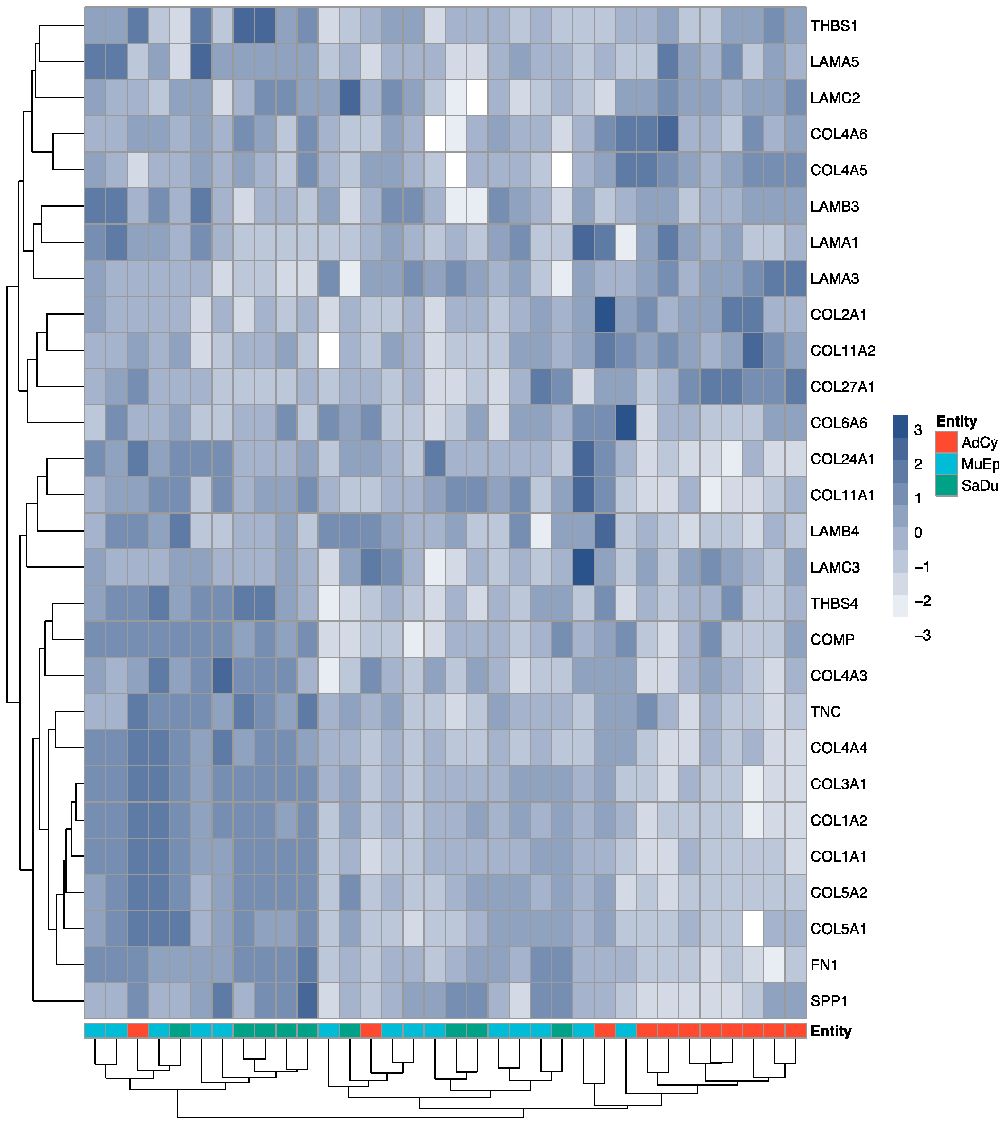 Cancers 12 02466 g001 Cancers 12 02466 g001