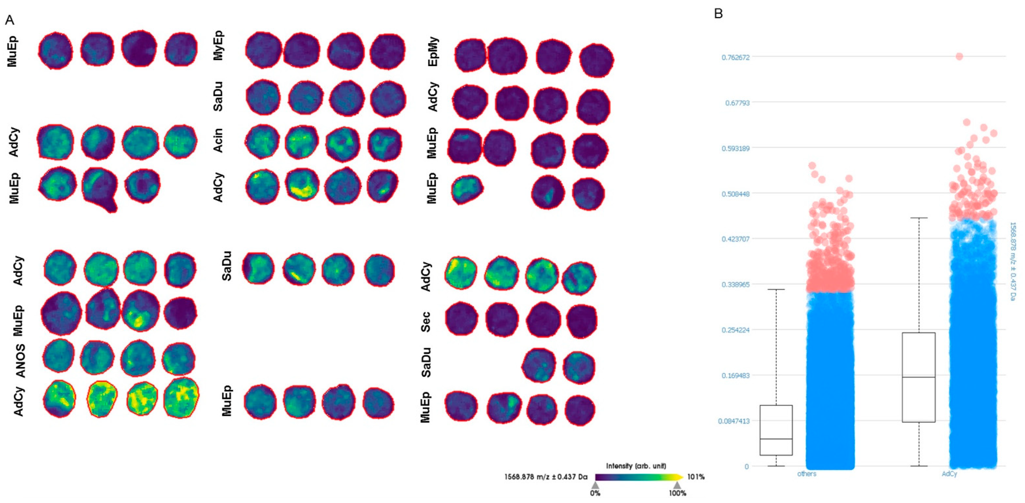 Cancers 12 02466 g004 Cancers 12 02466 g004