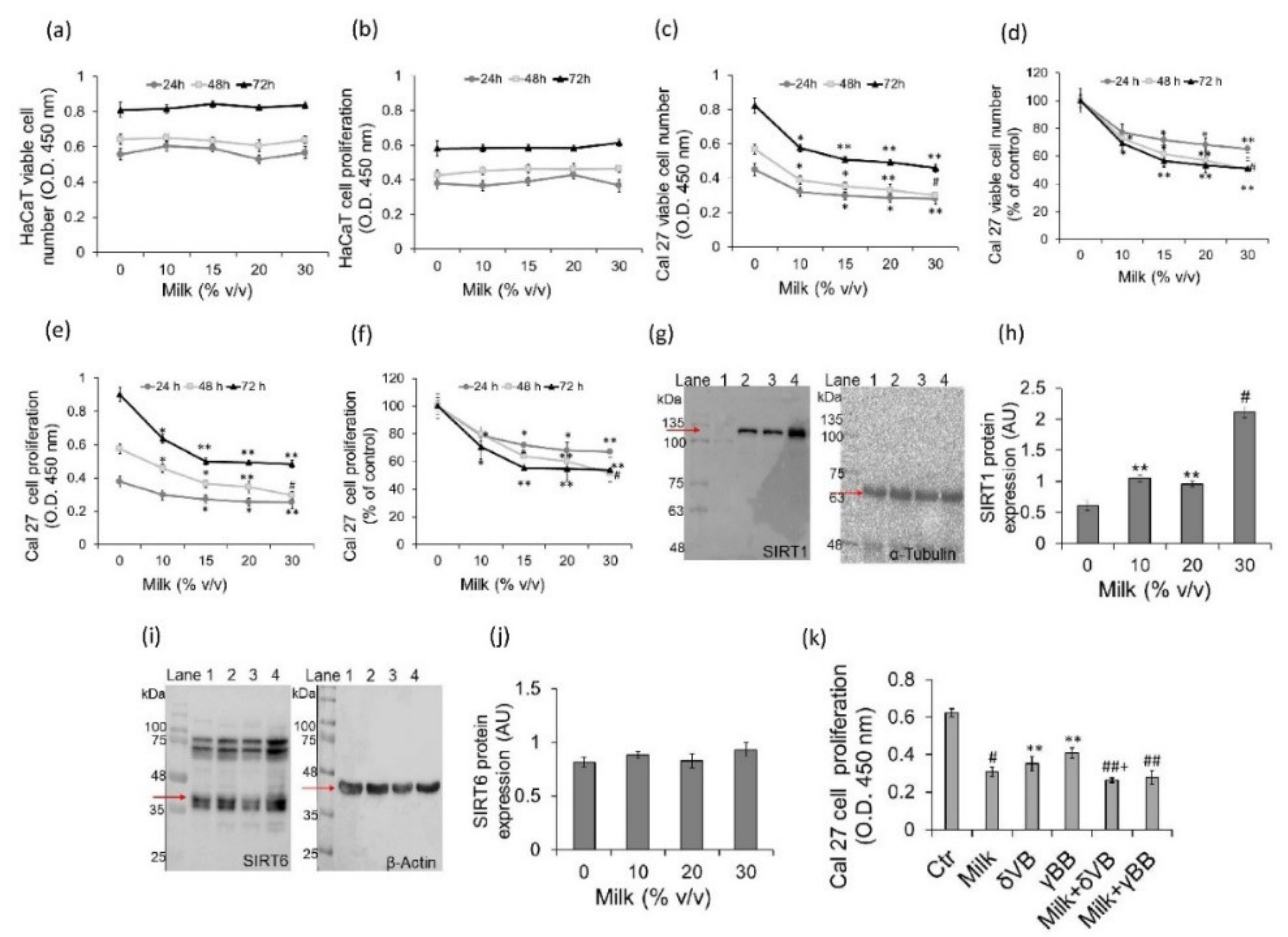 Cancers 12 02468 g001