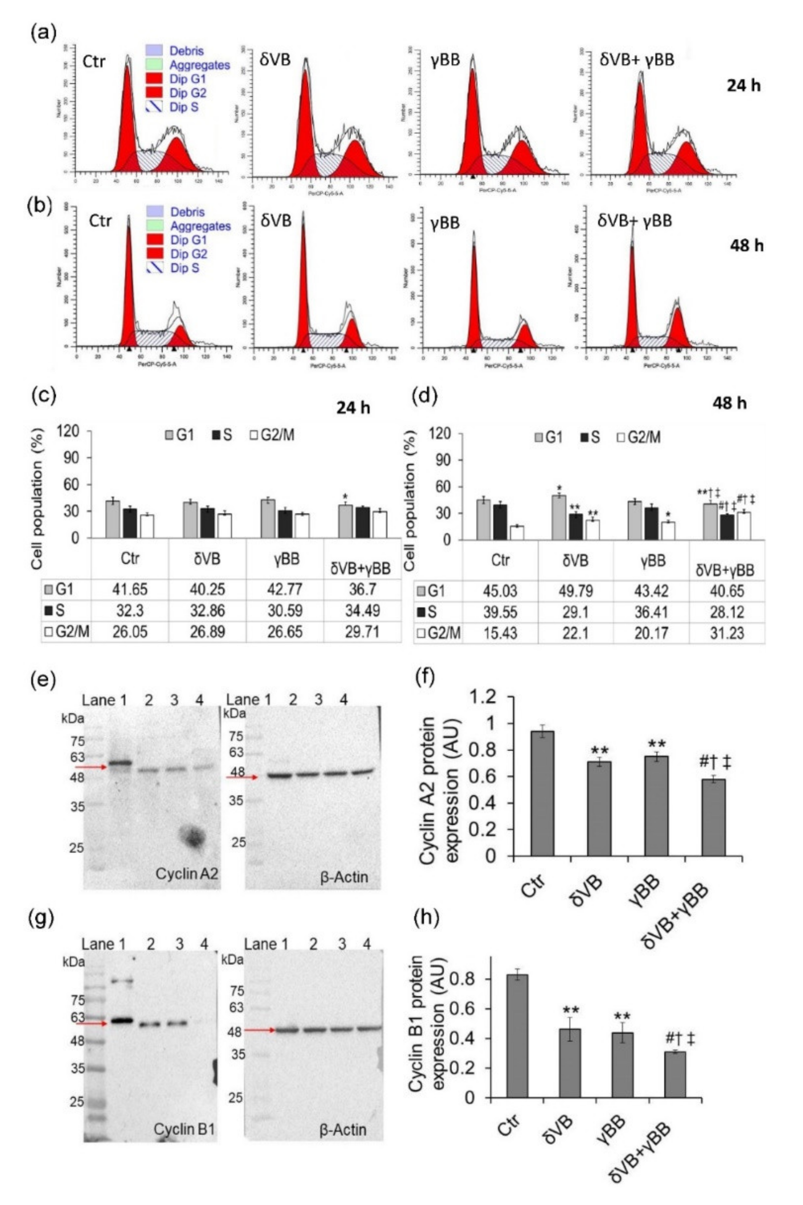 Cancers 12 02468 g003