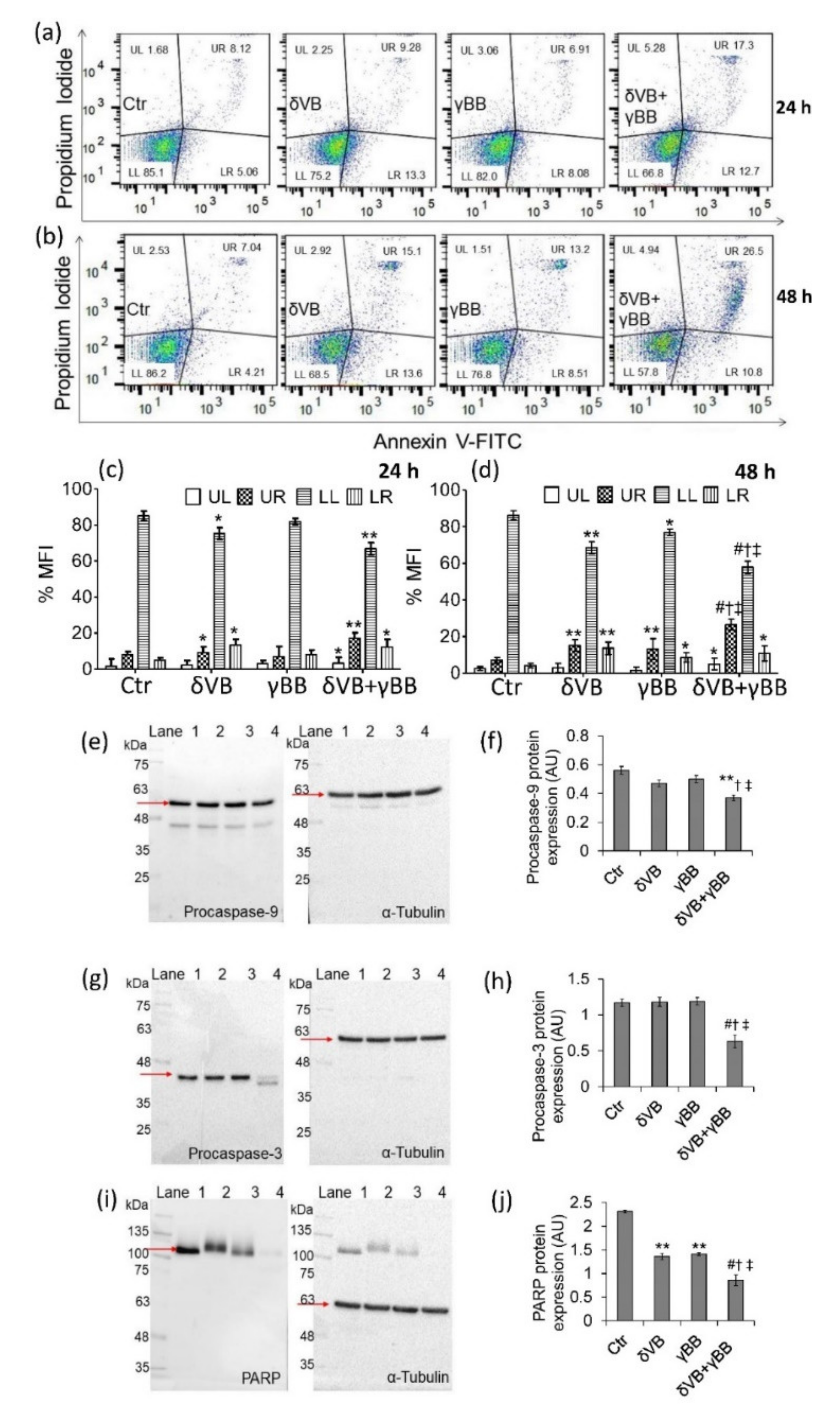 Cancers 12 02468 g004