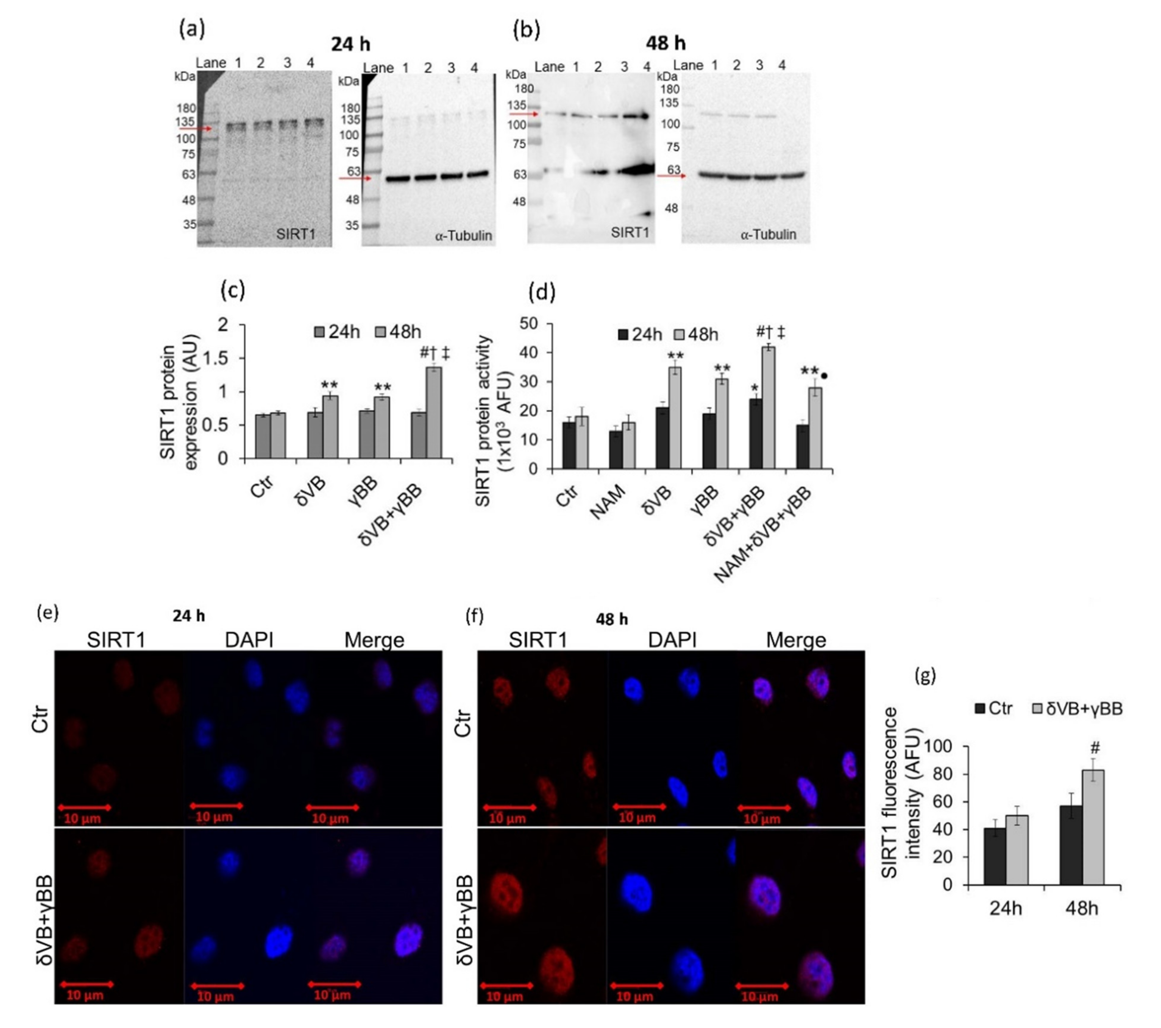 Cancers 12 02468 g005