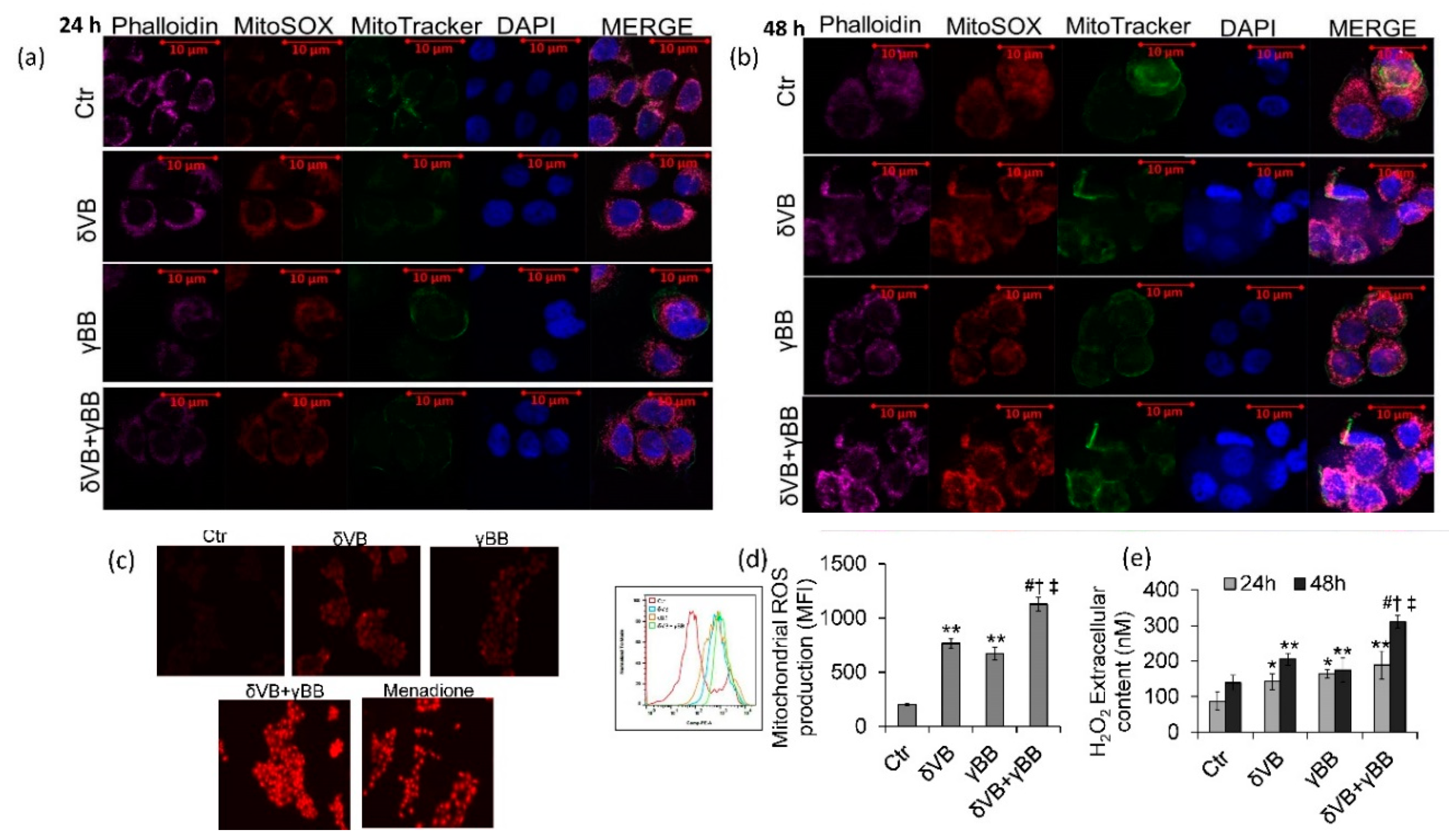 Cancers 12 02468 g006