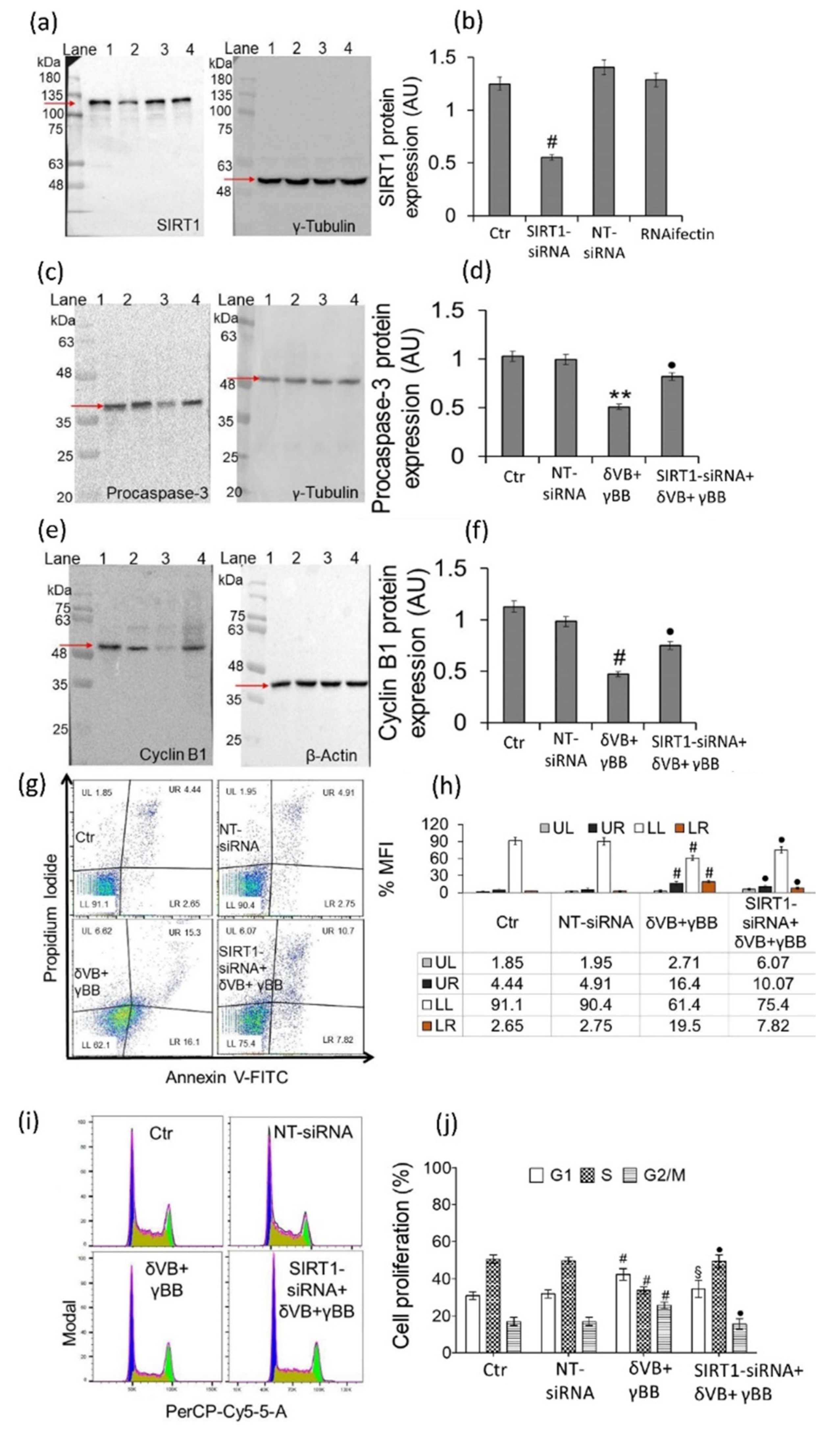 Cancers 12 02468 g007