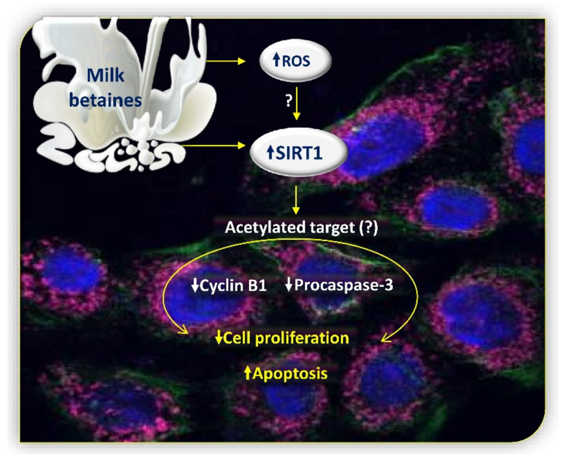 Cancers 12 02468 g008