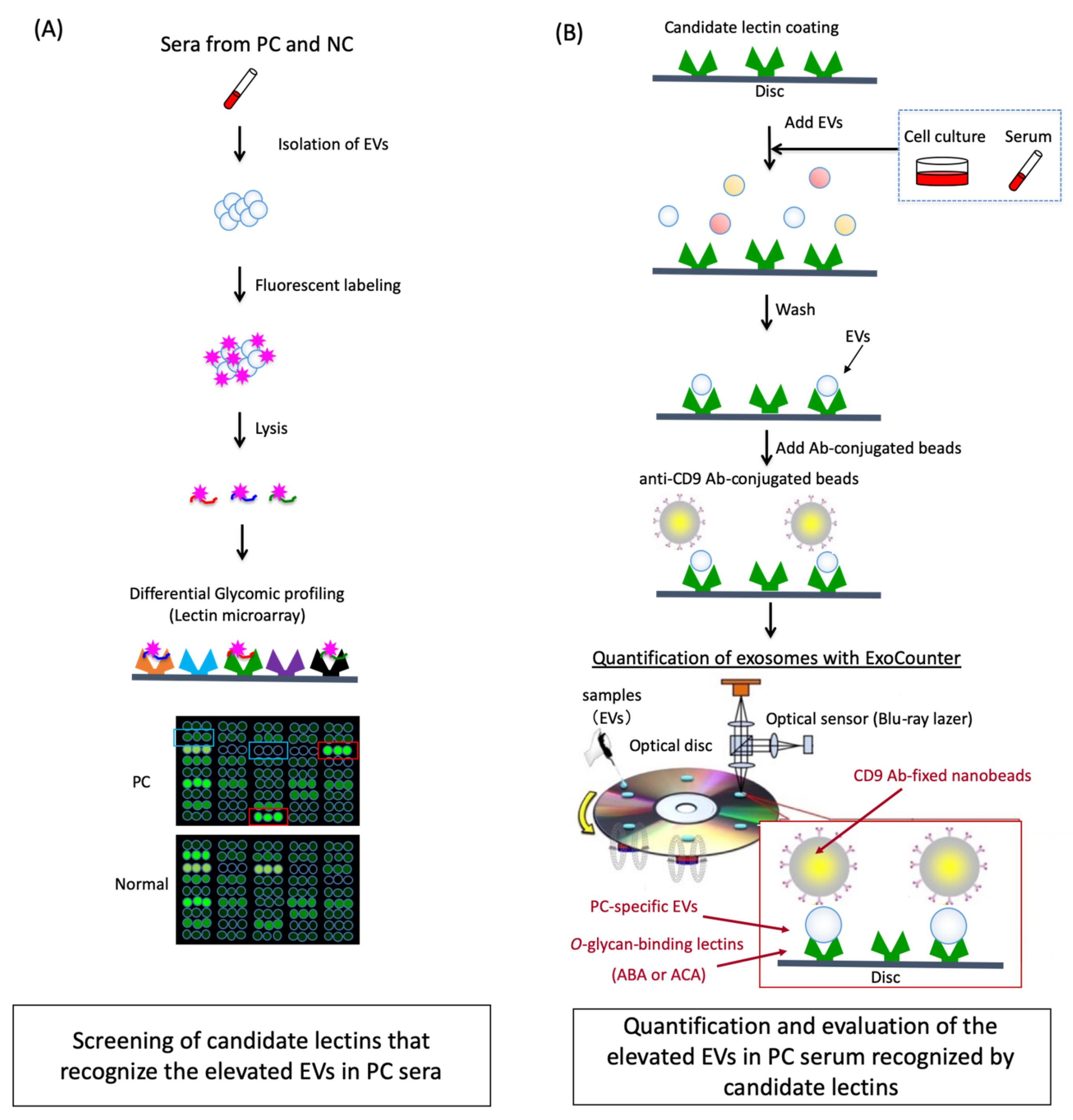 Cancers 12 02469 g001