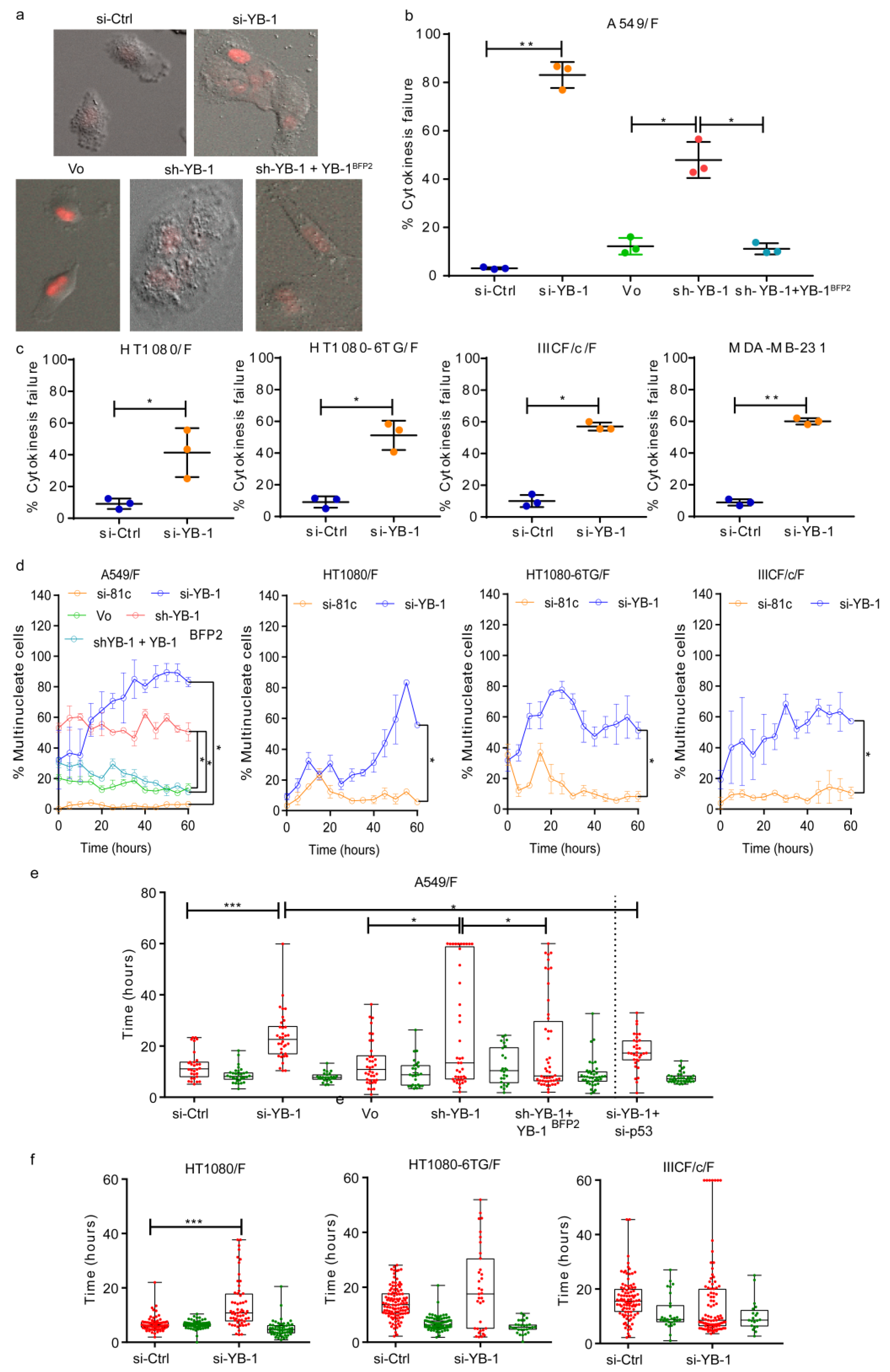 Cancers 12 02473 g001