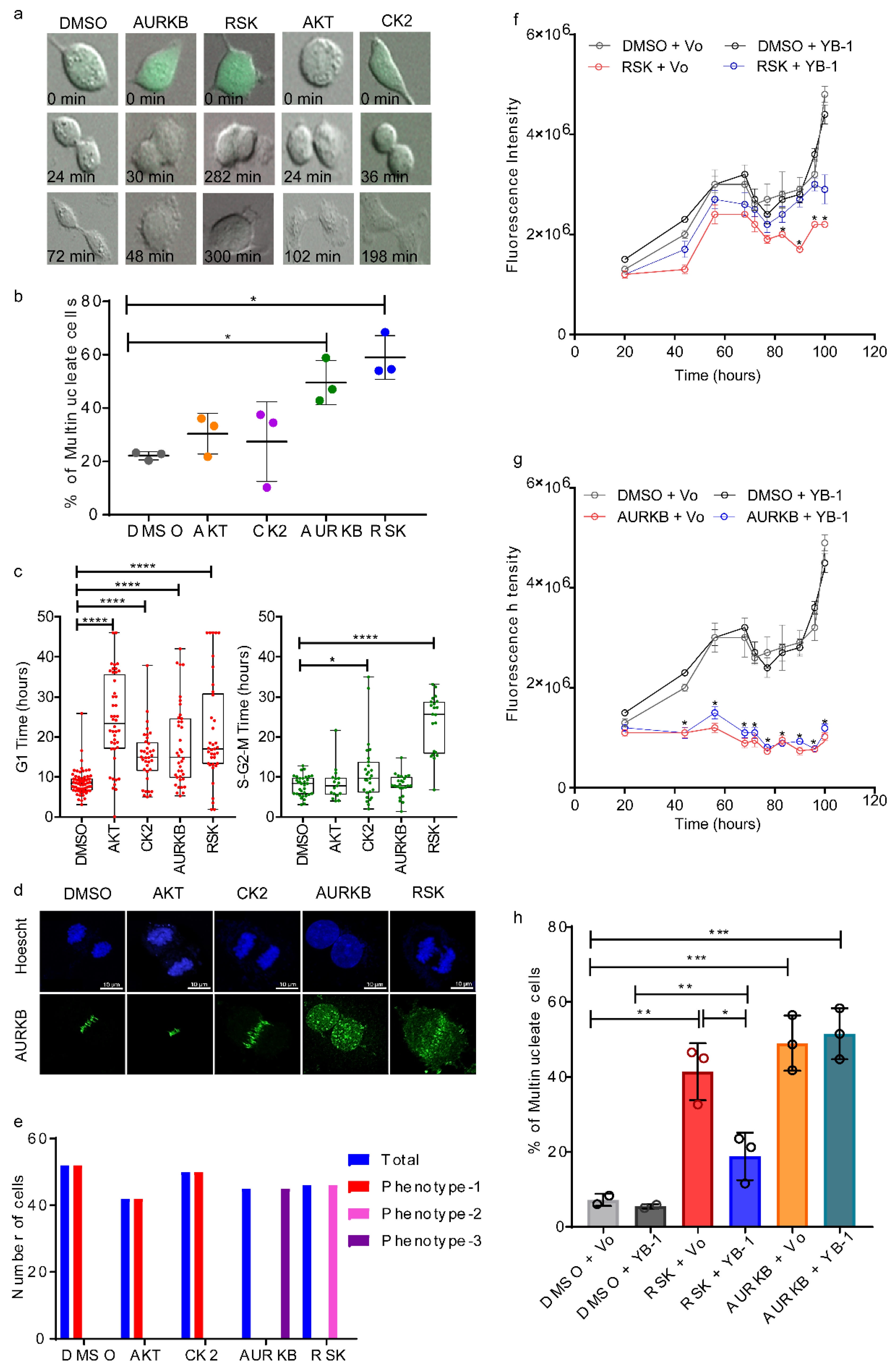 Cancers 12 02473 g005
