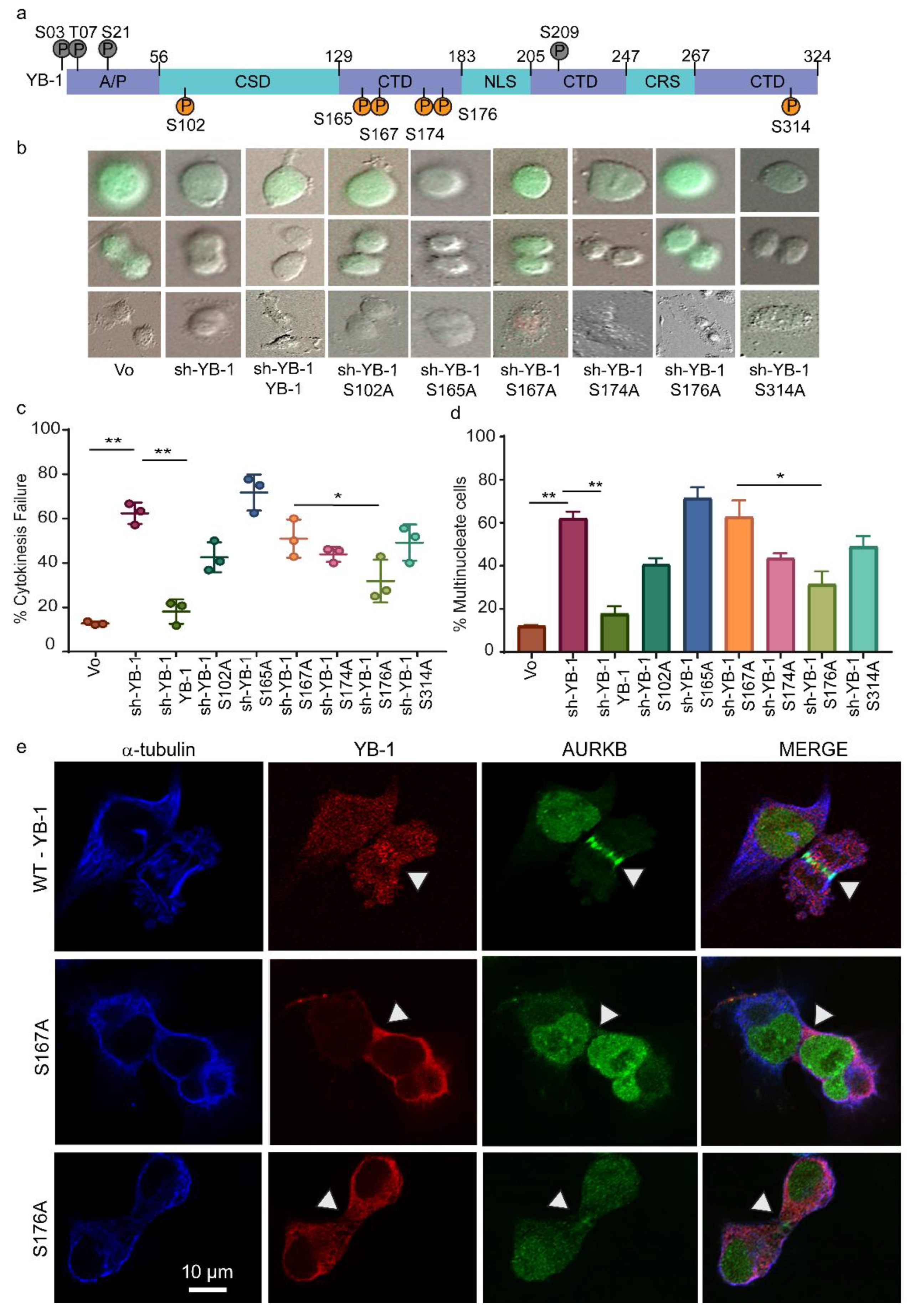 Cancers 12 02473 g006