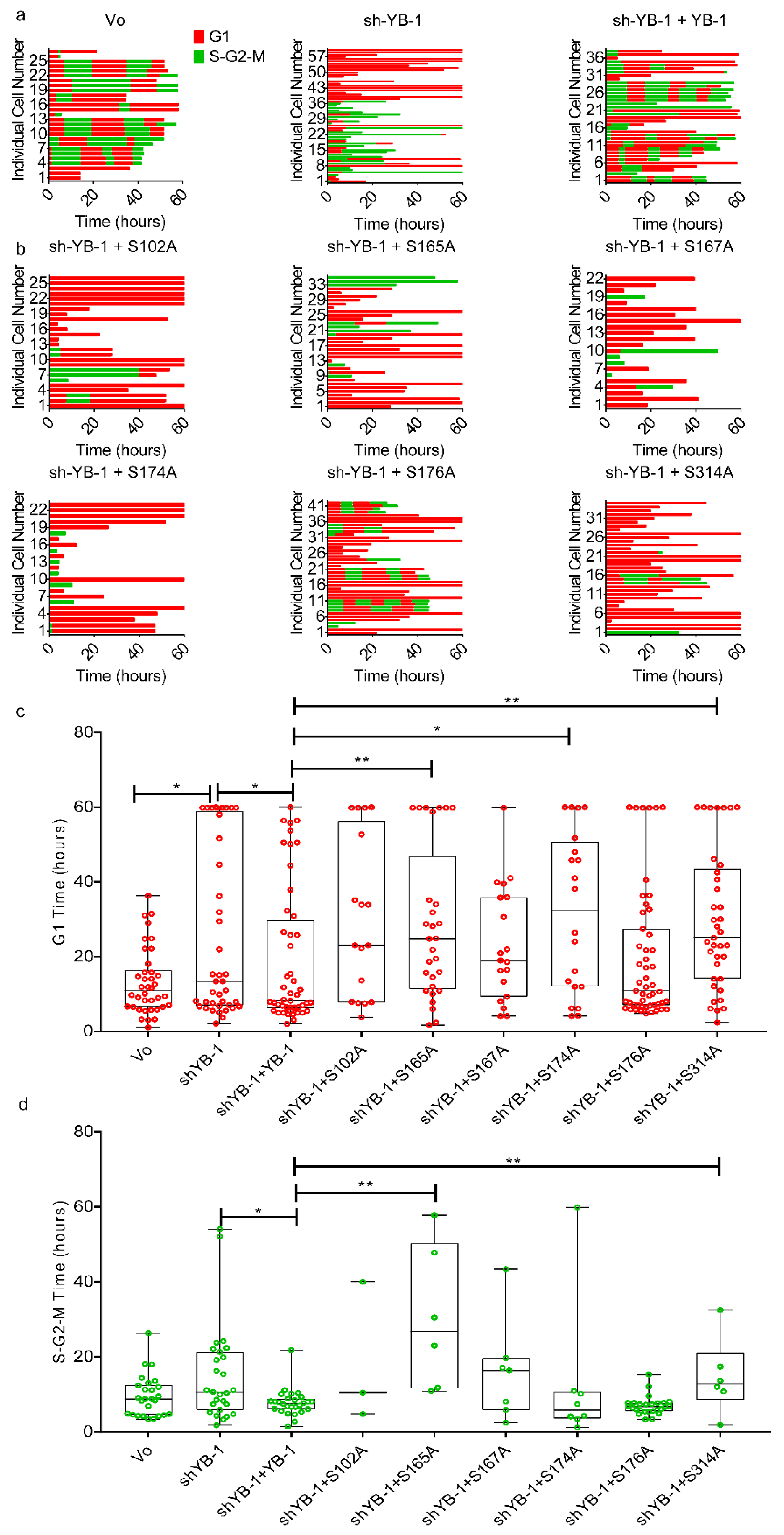 Cancers 12 02473 g007