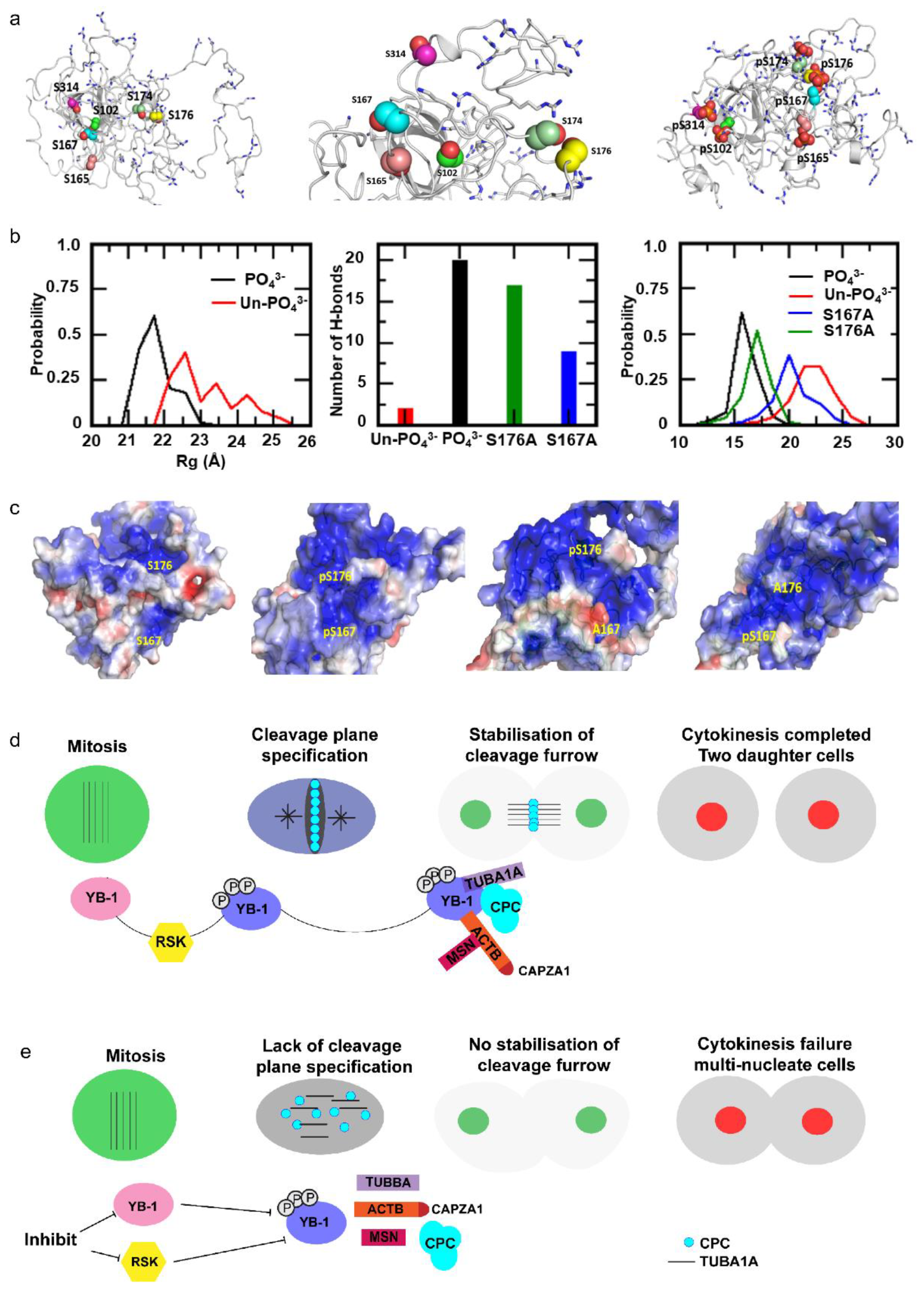 Cancers 12 02473 g008